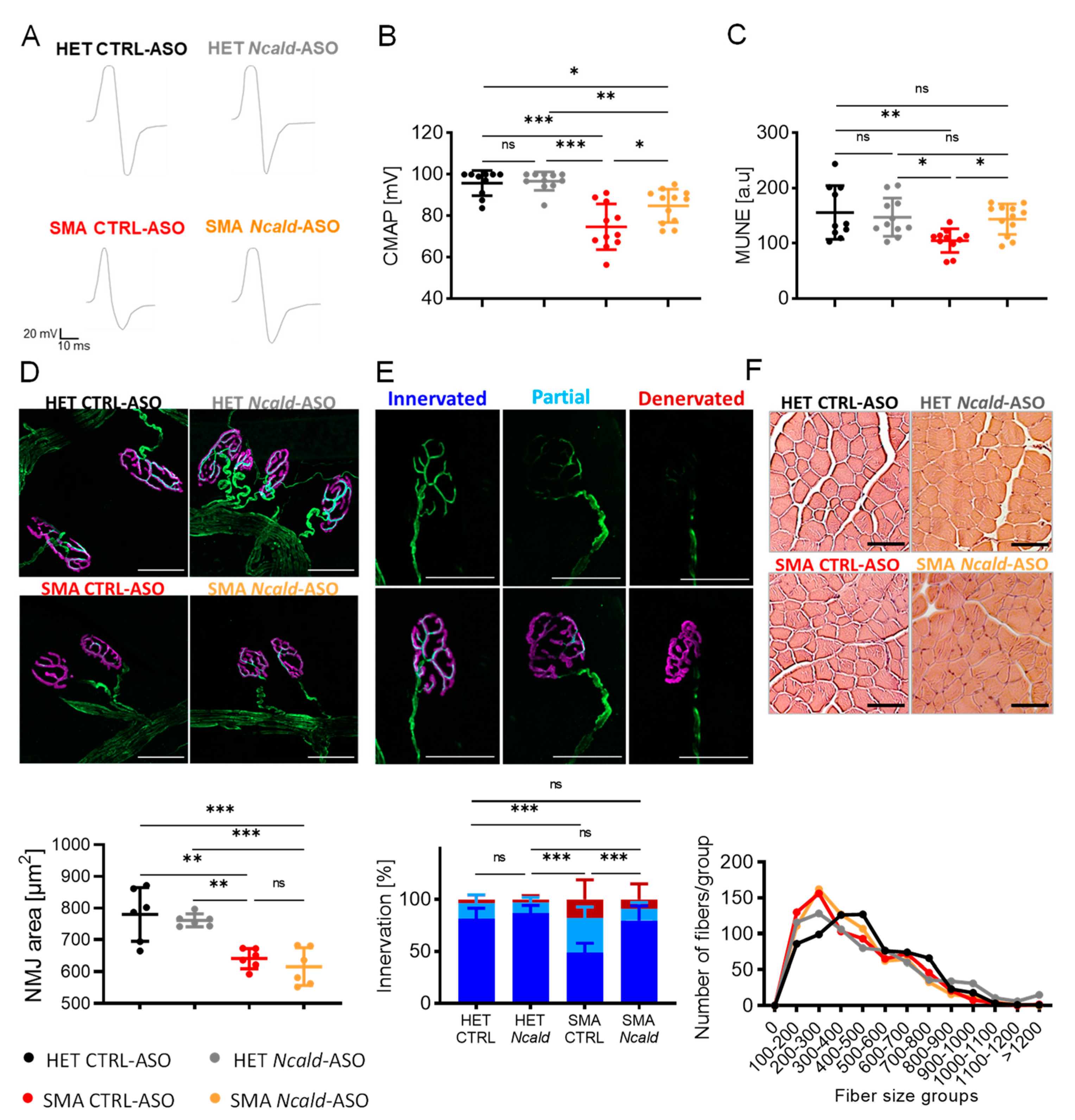 Preprints 68037 g002