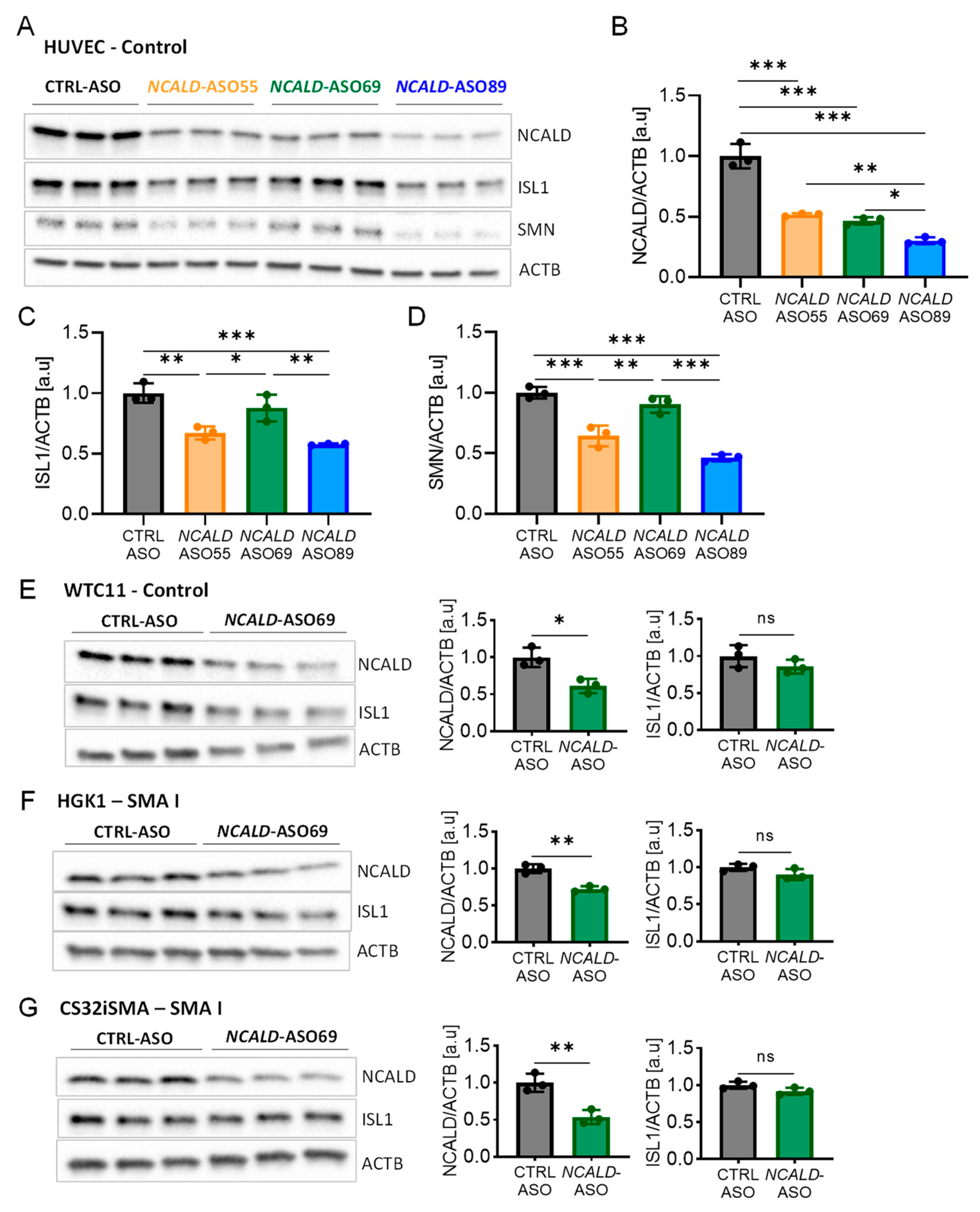 Preprints 68037 g003