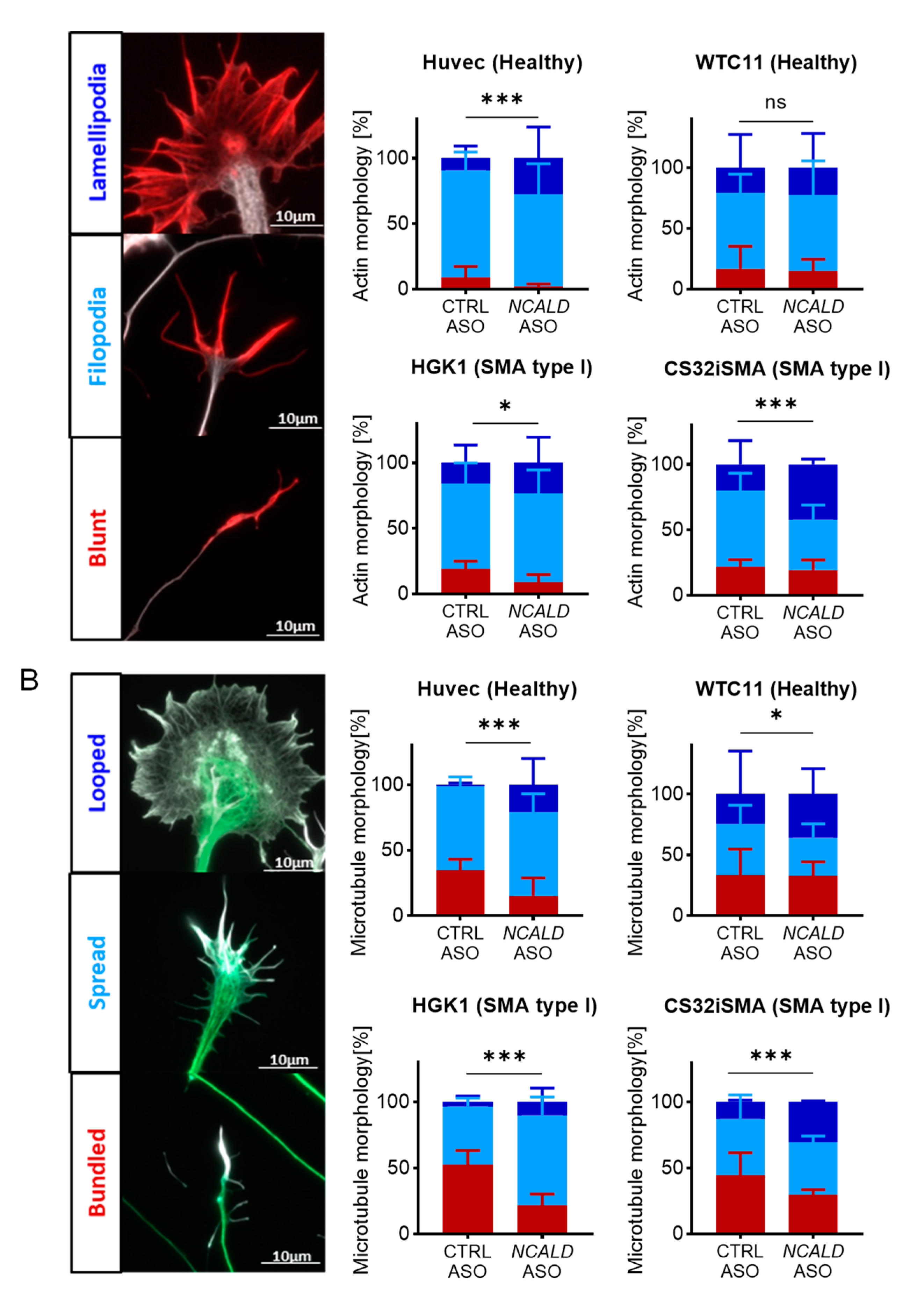 Preprints 68037 g004