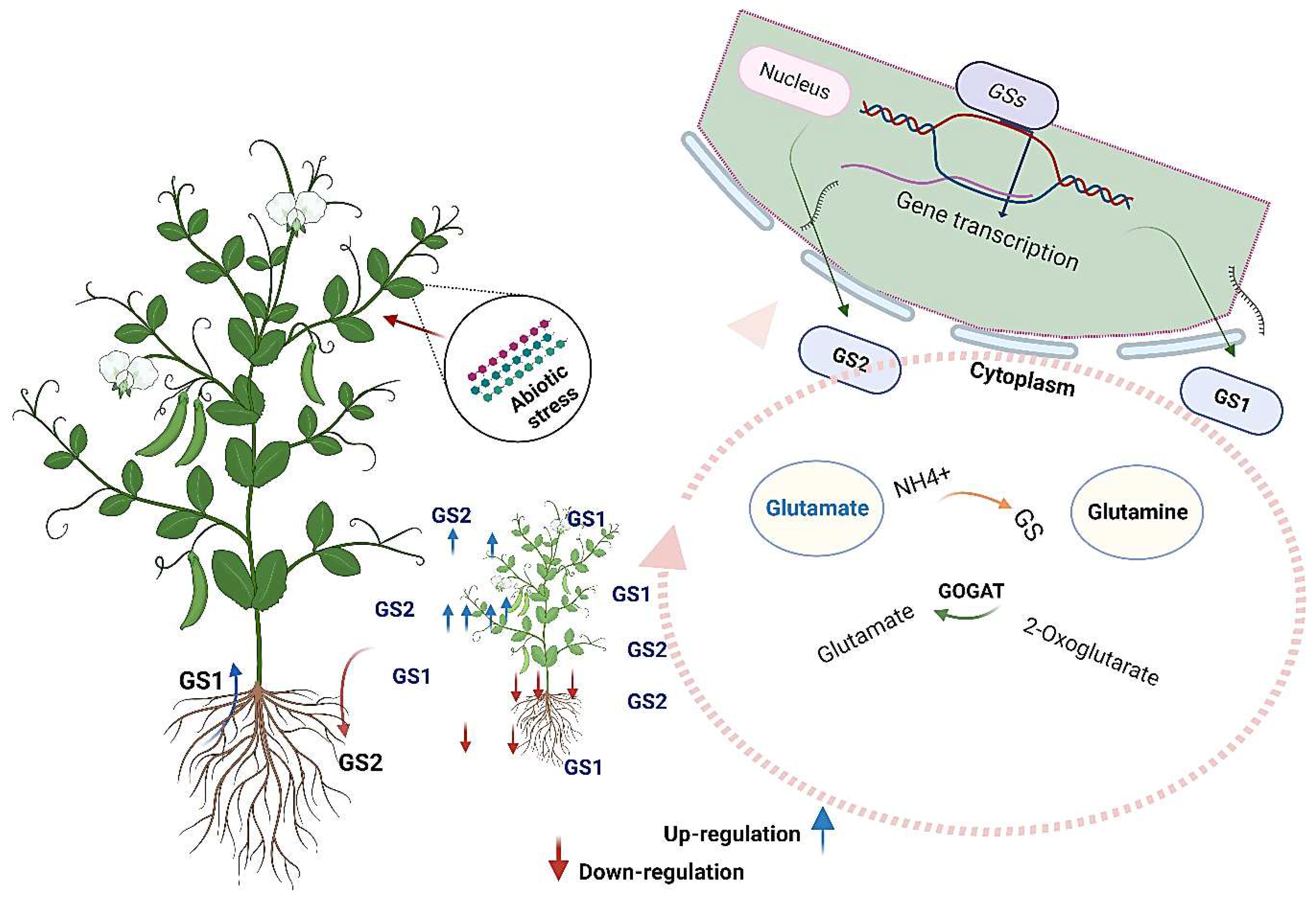 Preprints 83008 g003