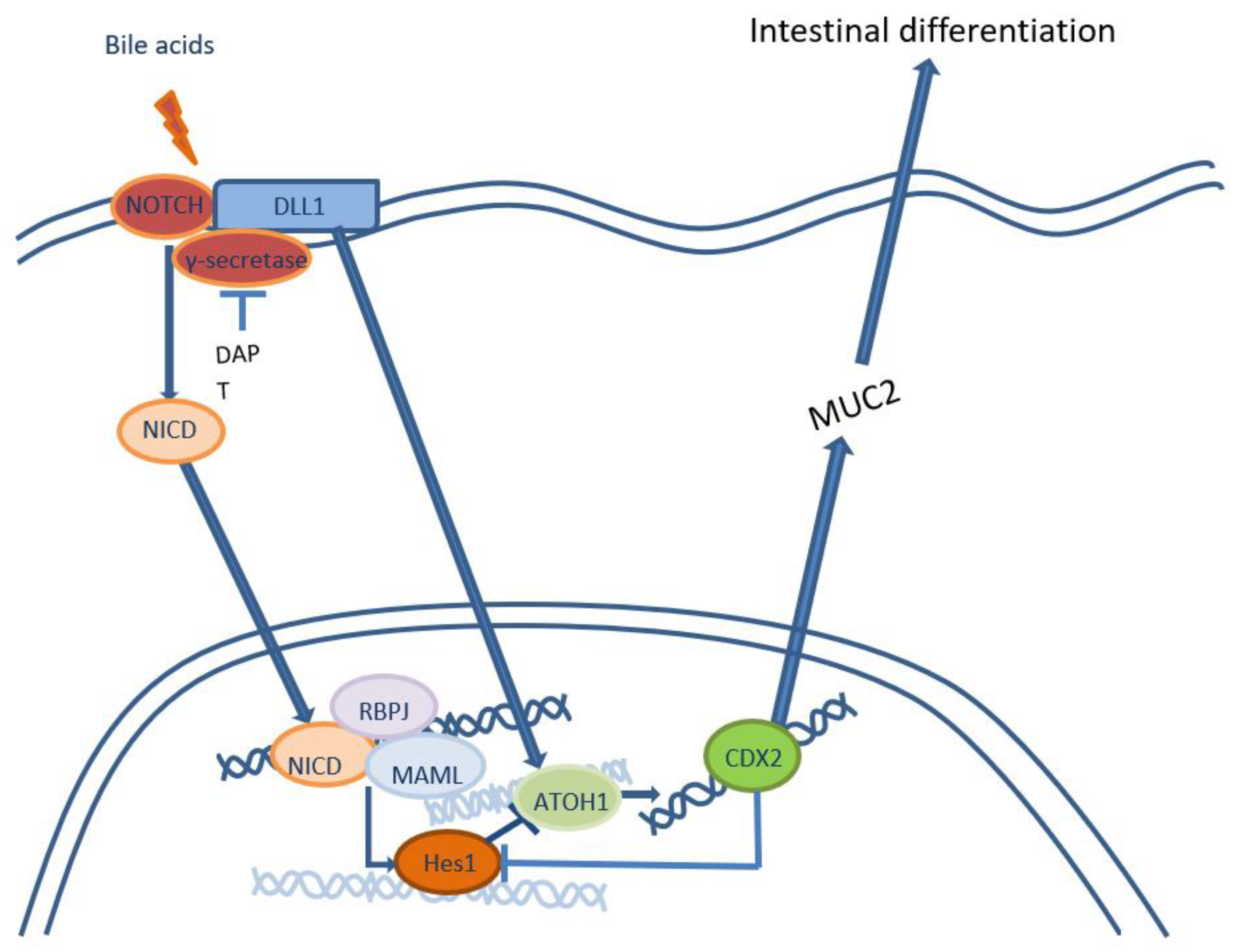 Preprints 71882 g001