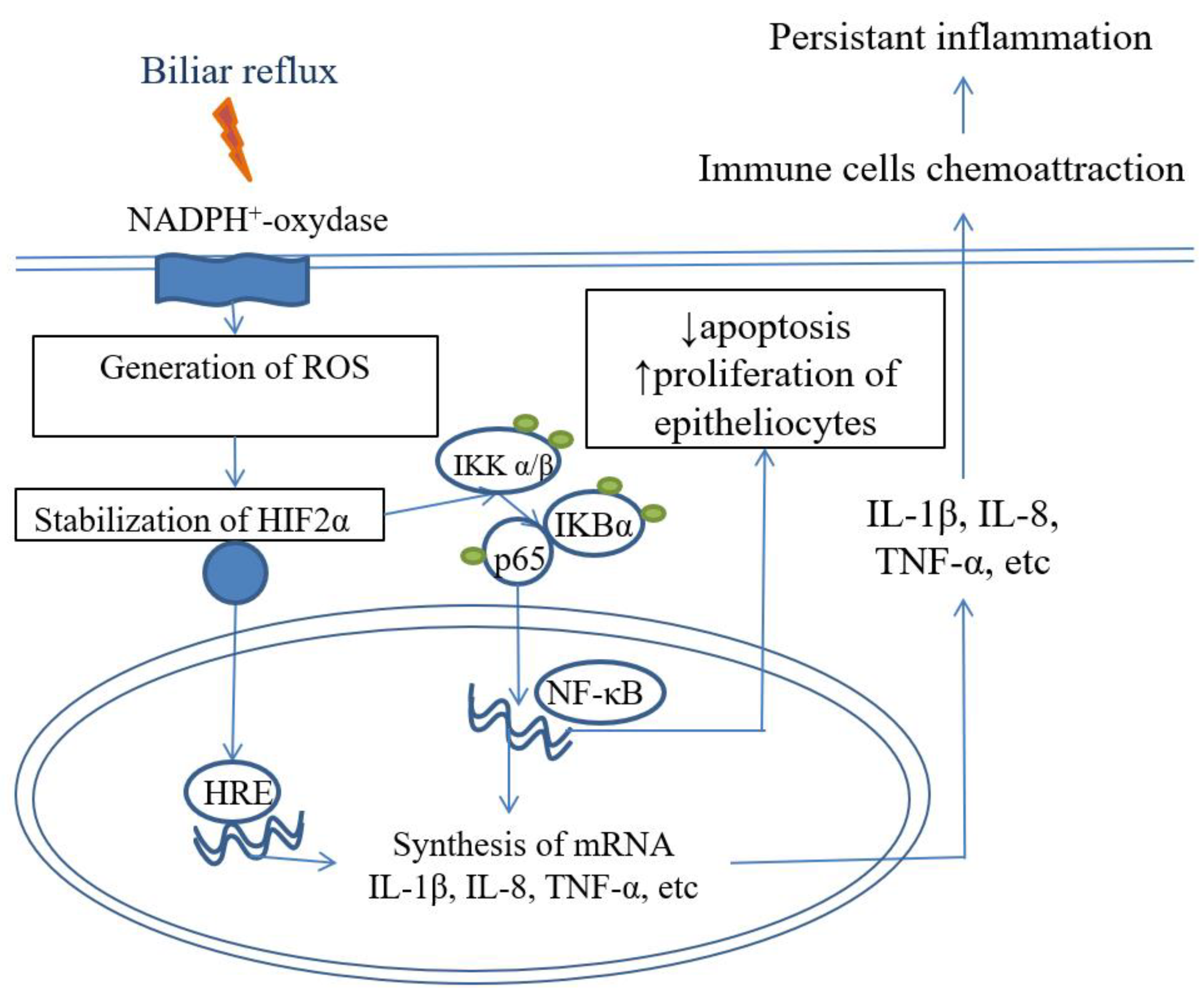 Preprints 71882 g004