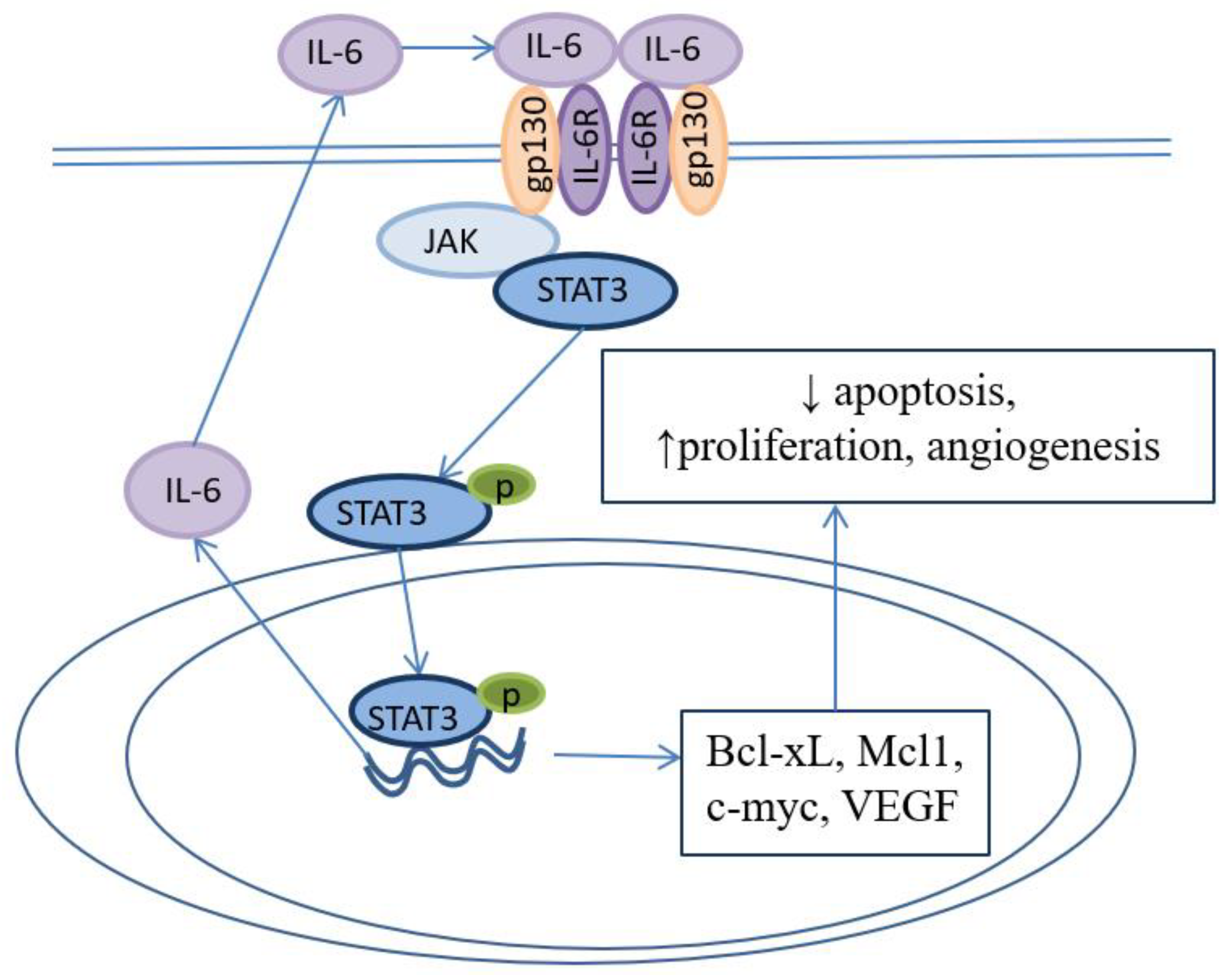 Preprints 71882 g005