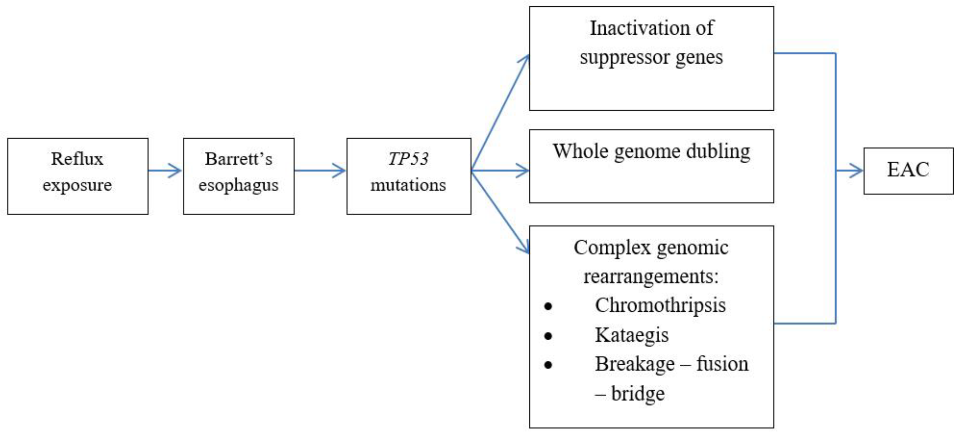 Preprints 71882 g006