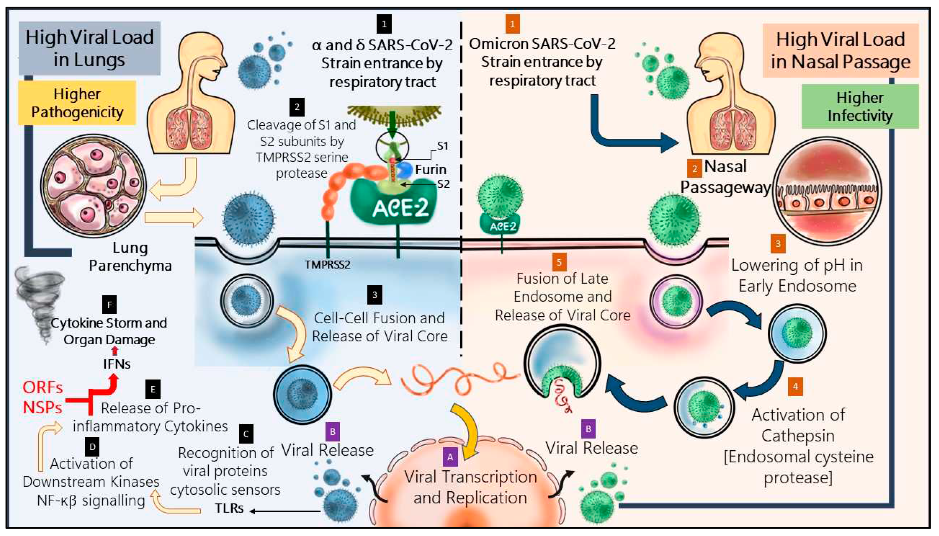 Preprints 86853 g002