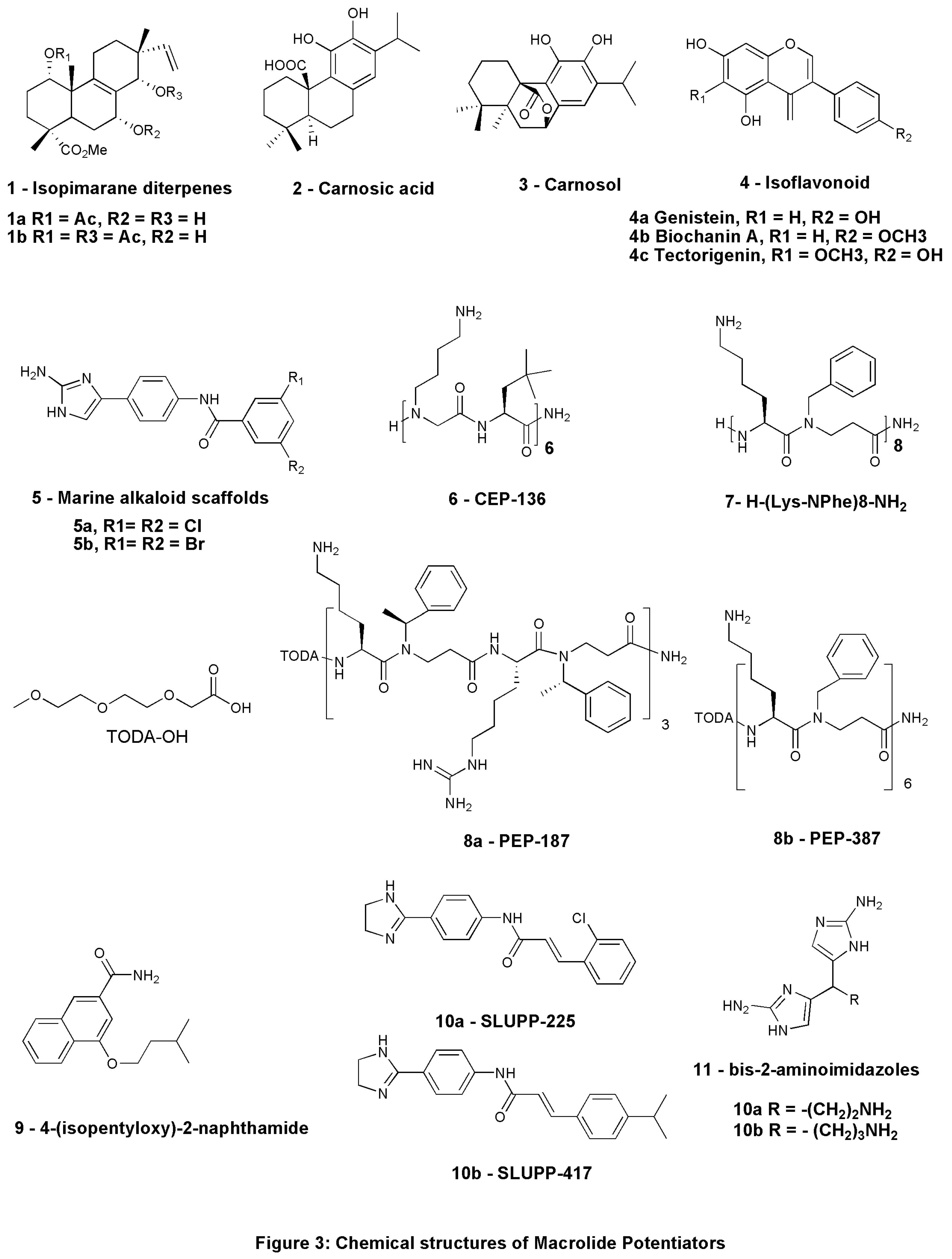 Preprints 82650 g003