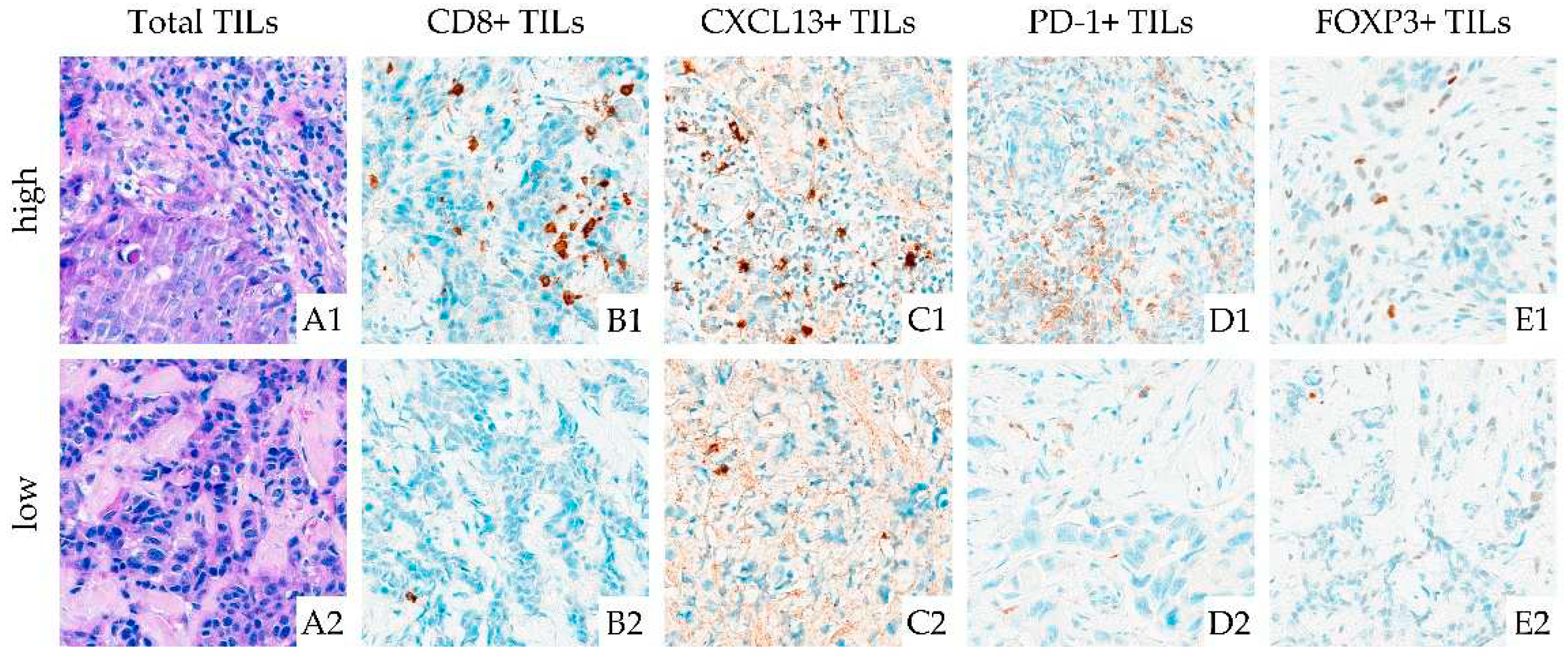 Preprints 82799 g002