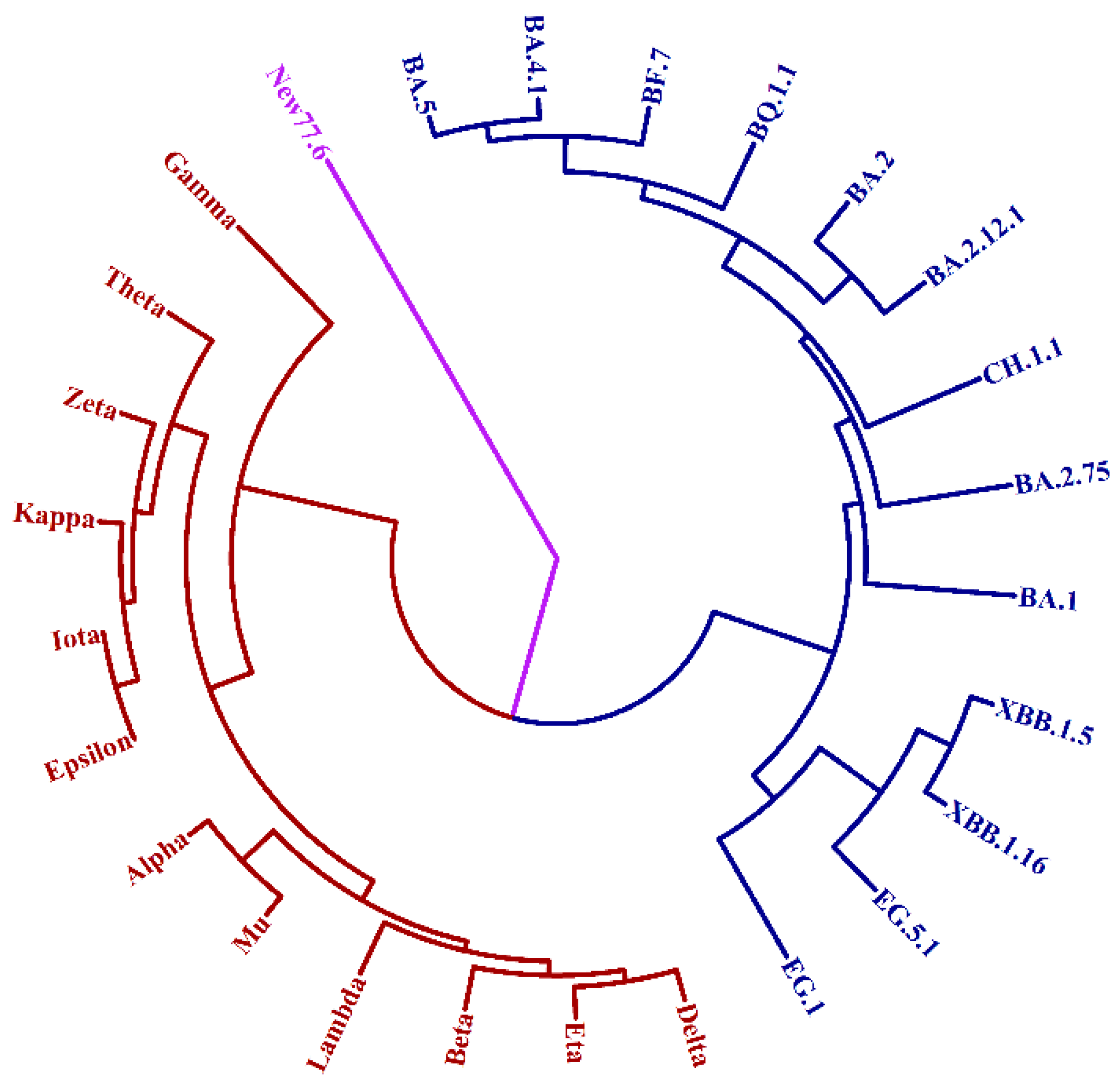 Preprints 102103 g005