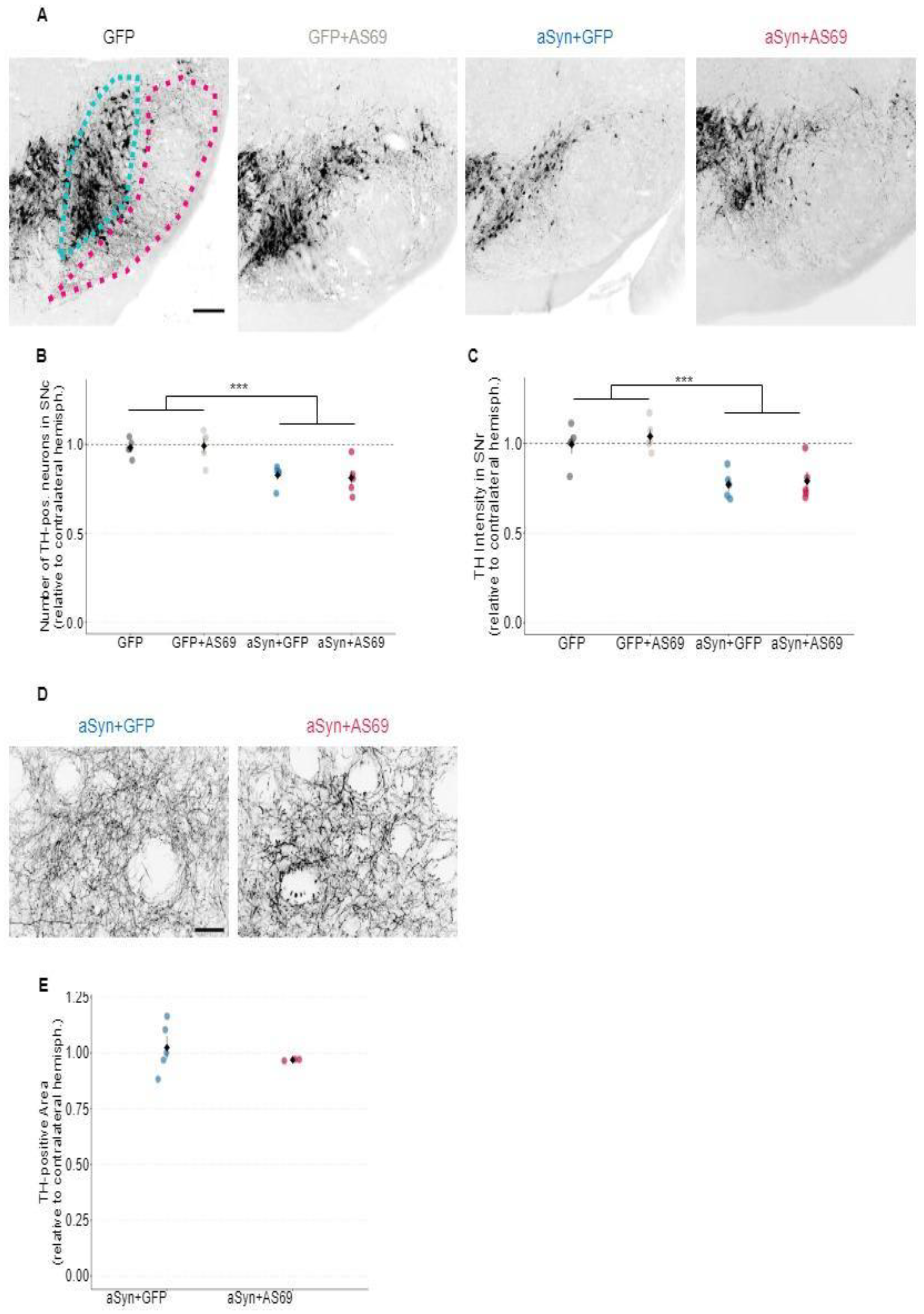 Preprints 105521 g002