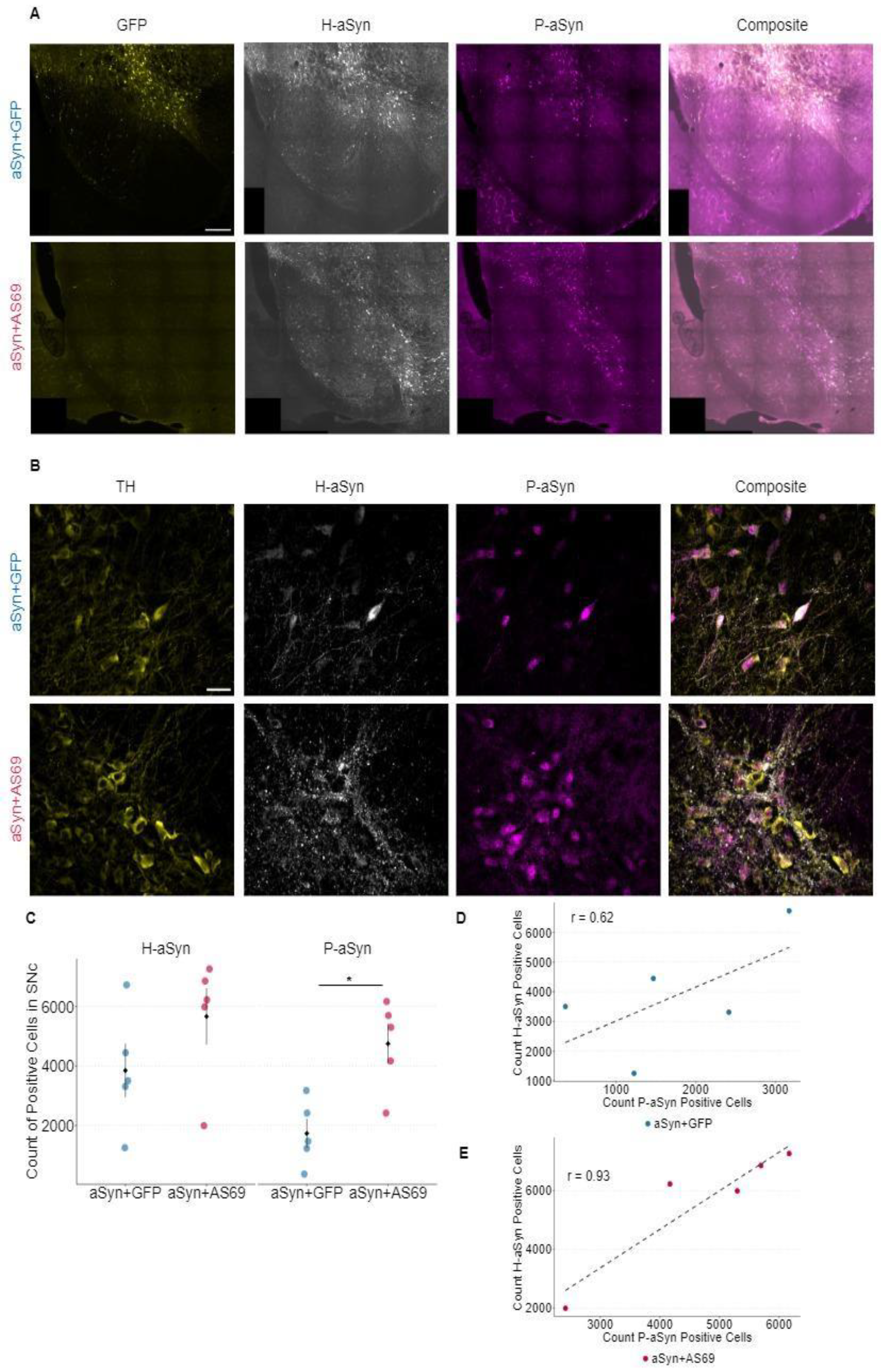 Preprints 105521 g003