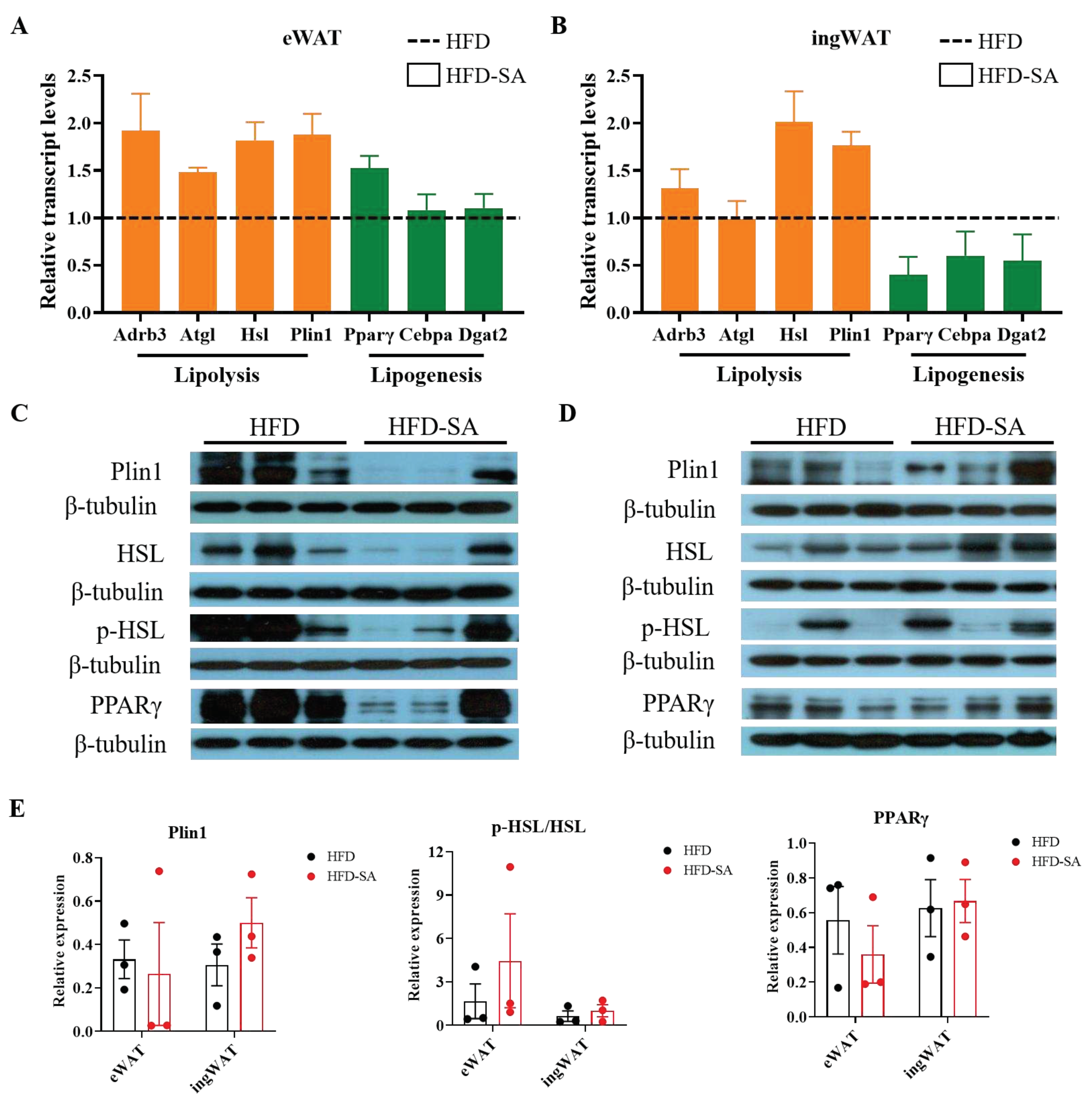 Preprints 70814 g004