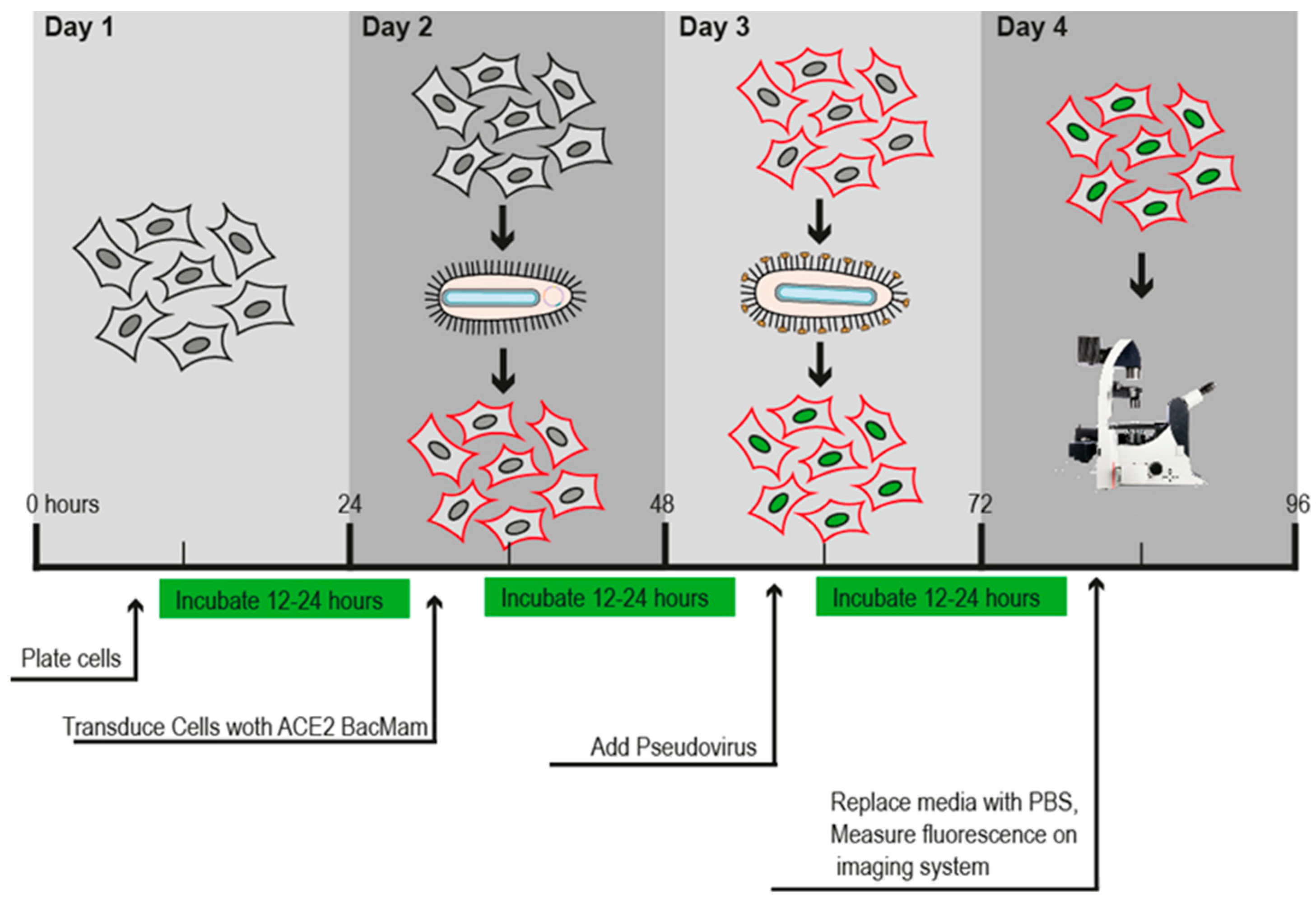 Preprints 88350 g001