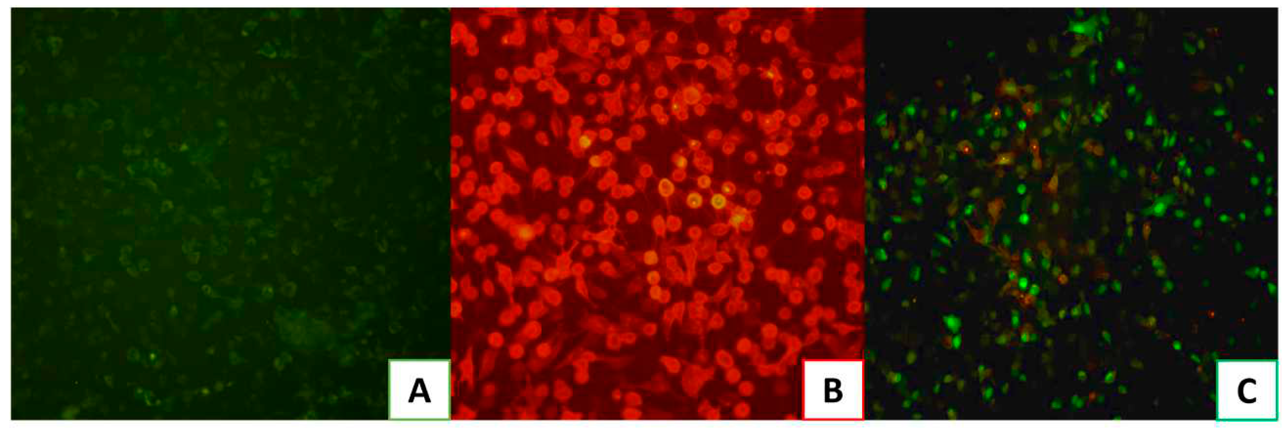 Preprints 88350 g004