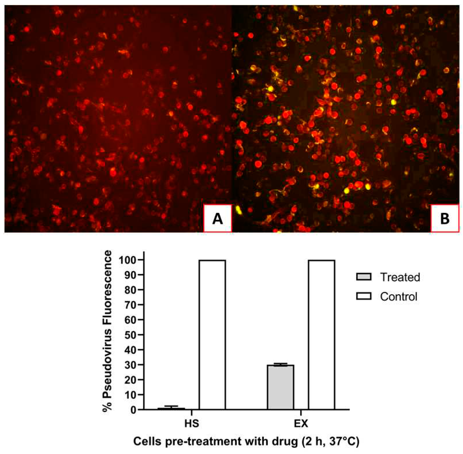 Preprints 88350 g006