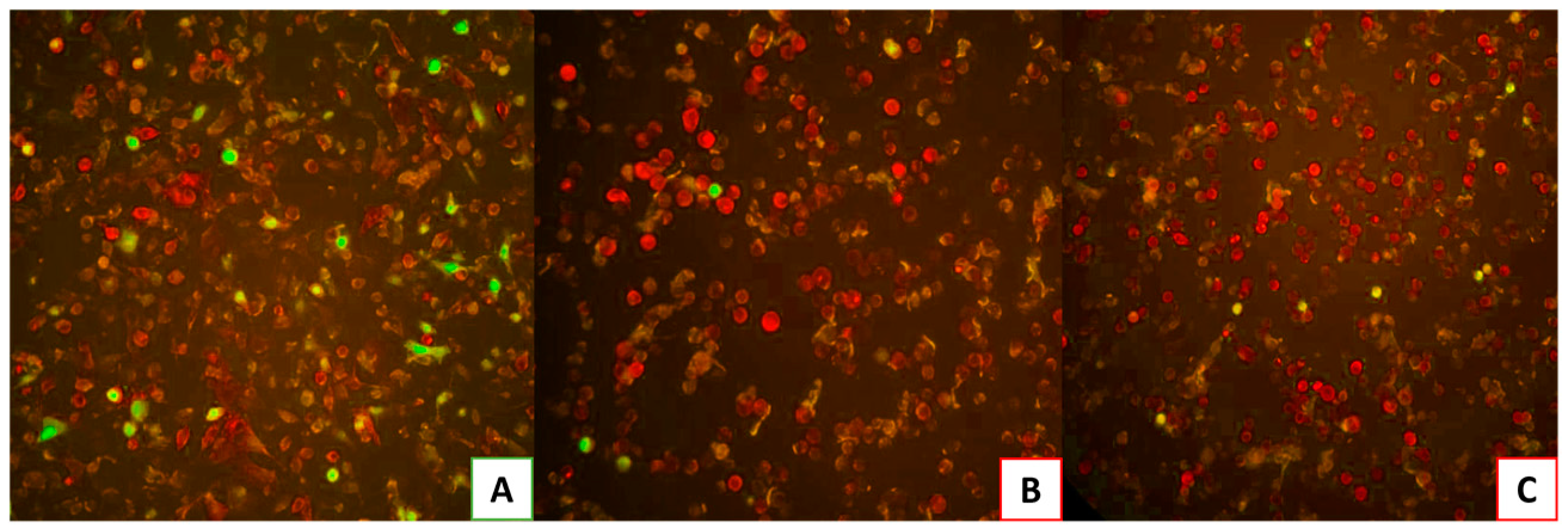 Preprints 88350 g007