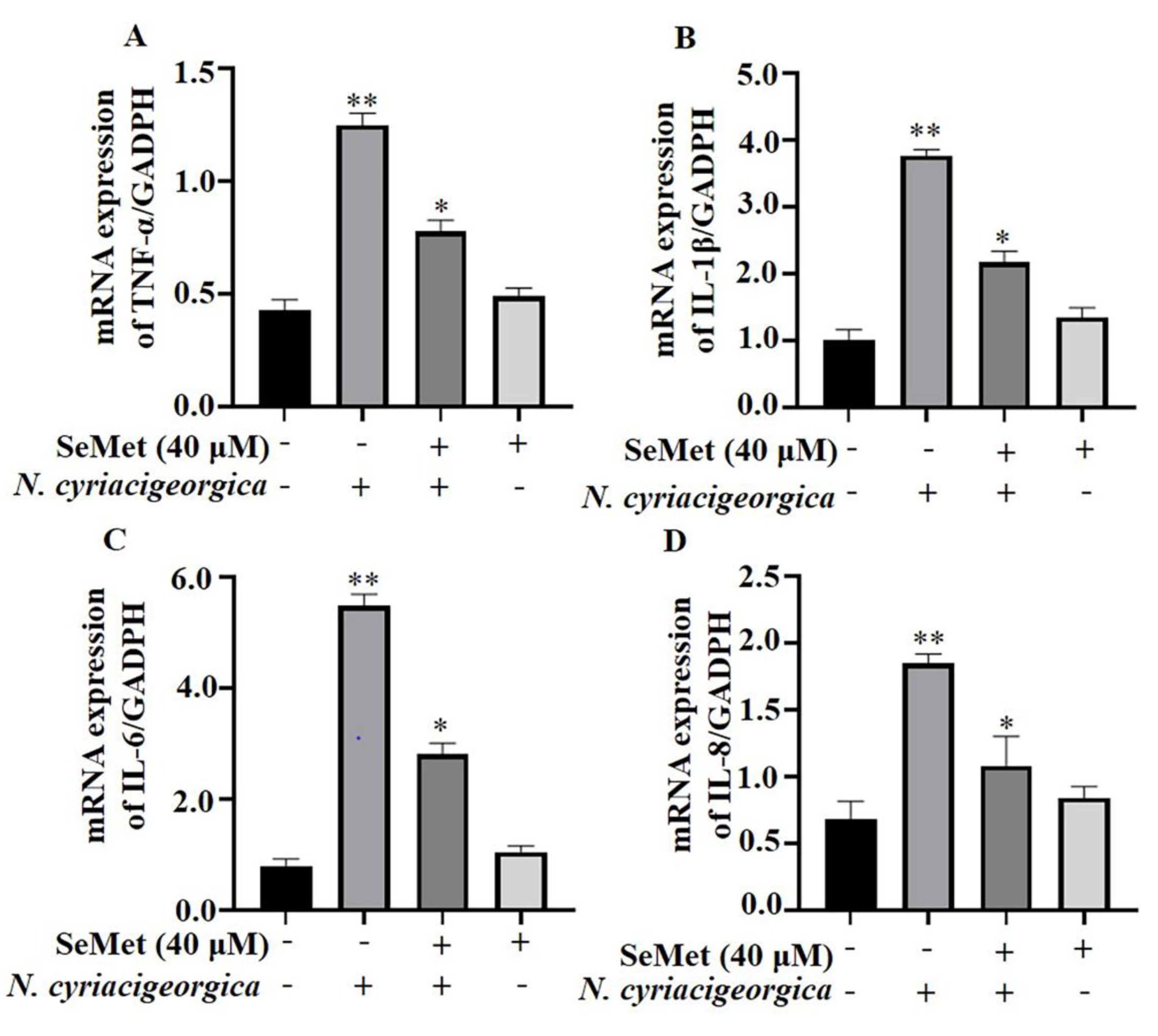 Preprints 117639 g003