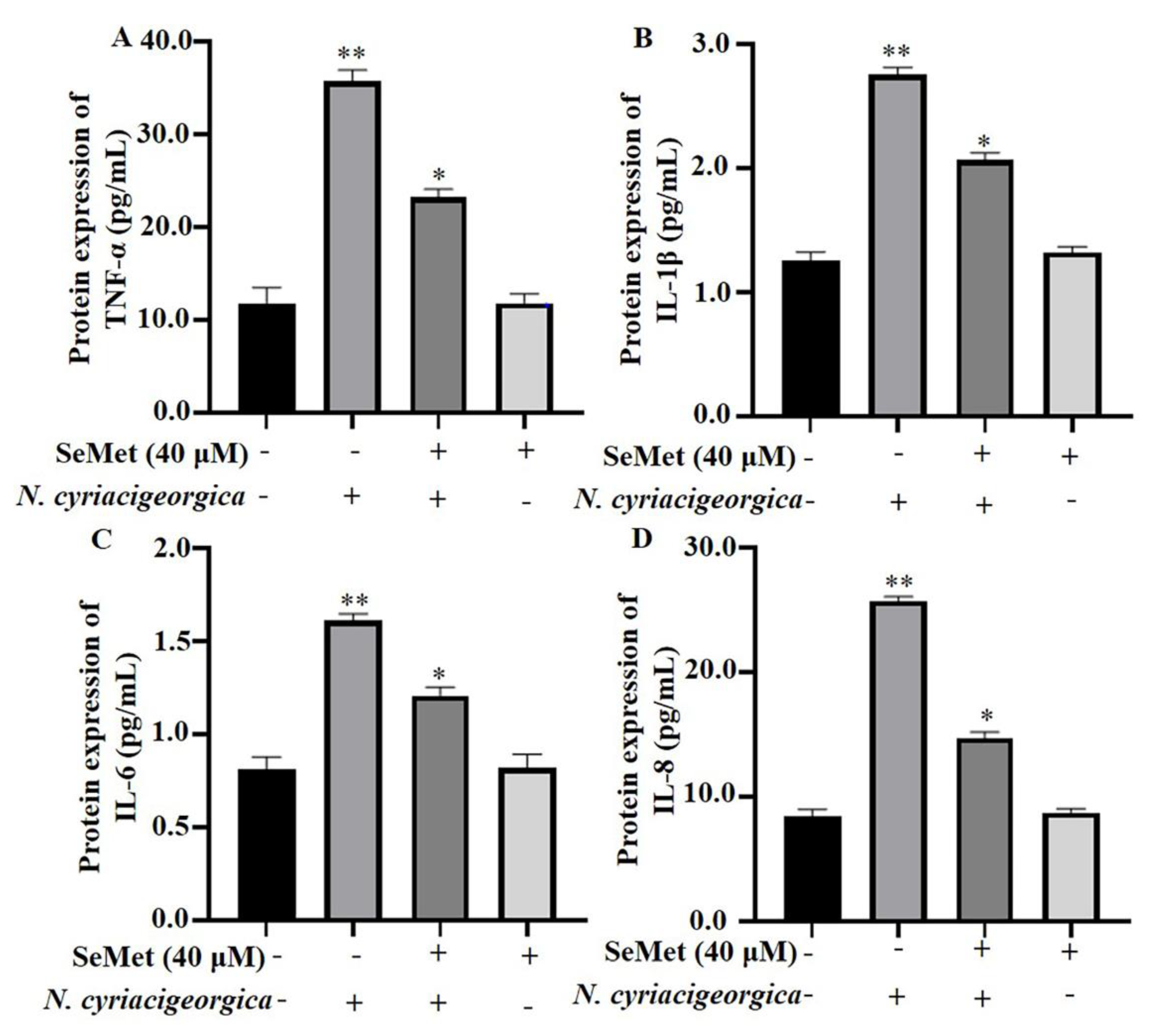 Preprints 117639 g004