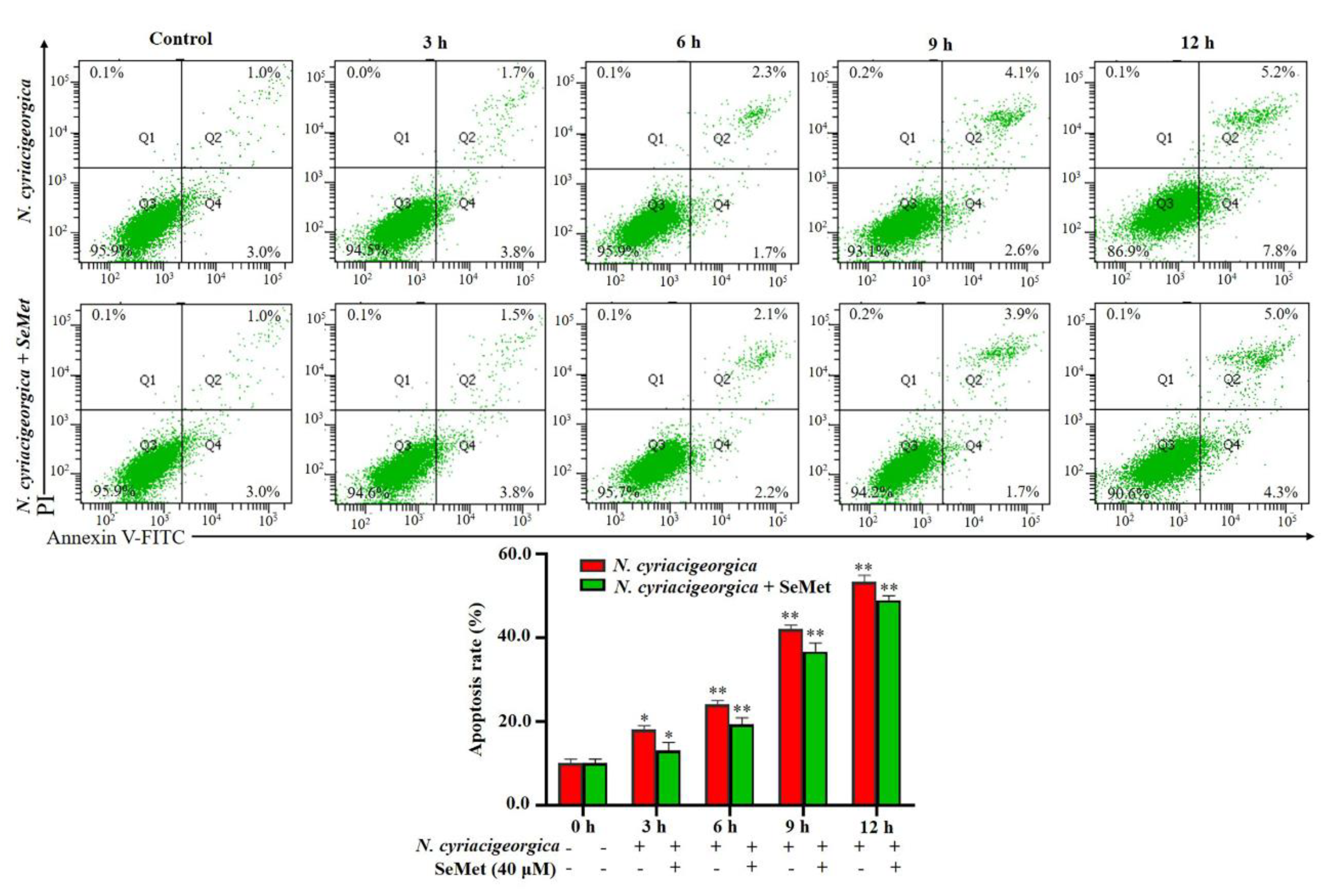 Preprints 117639 g007