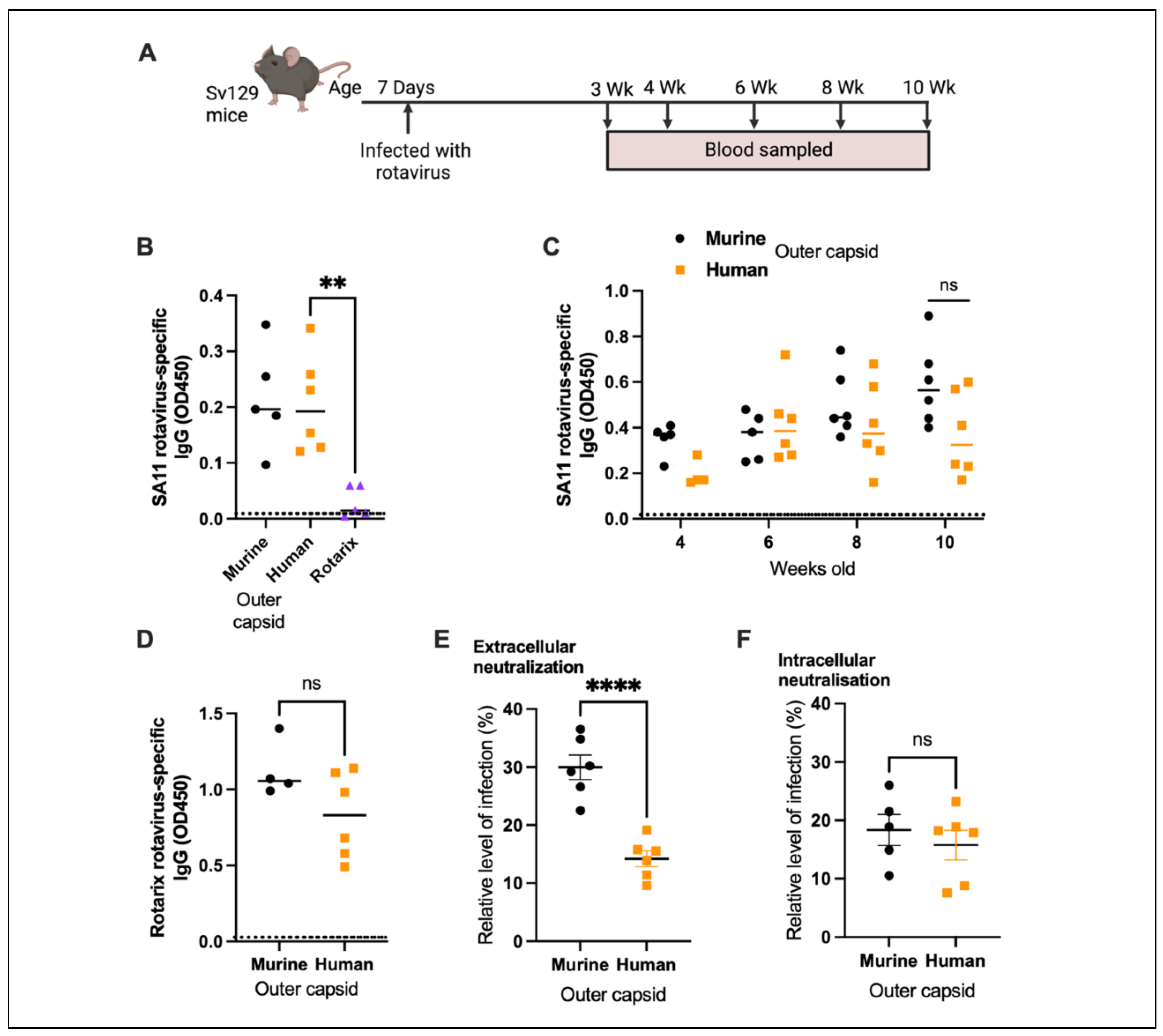 Preprints 106515 g003