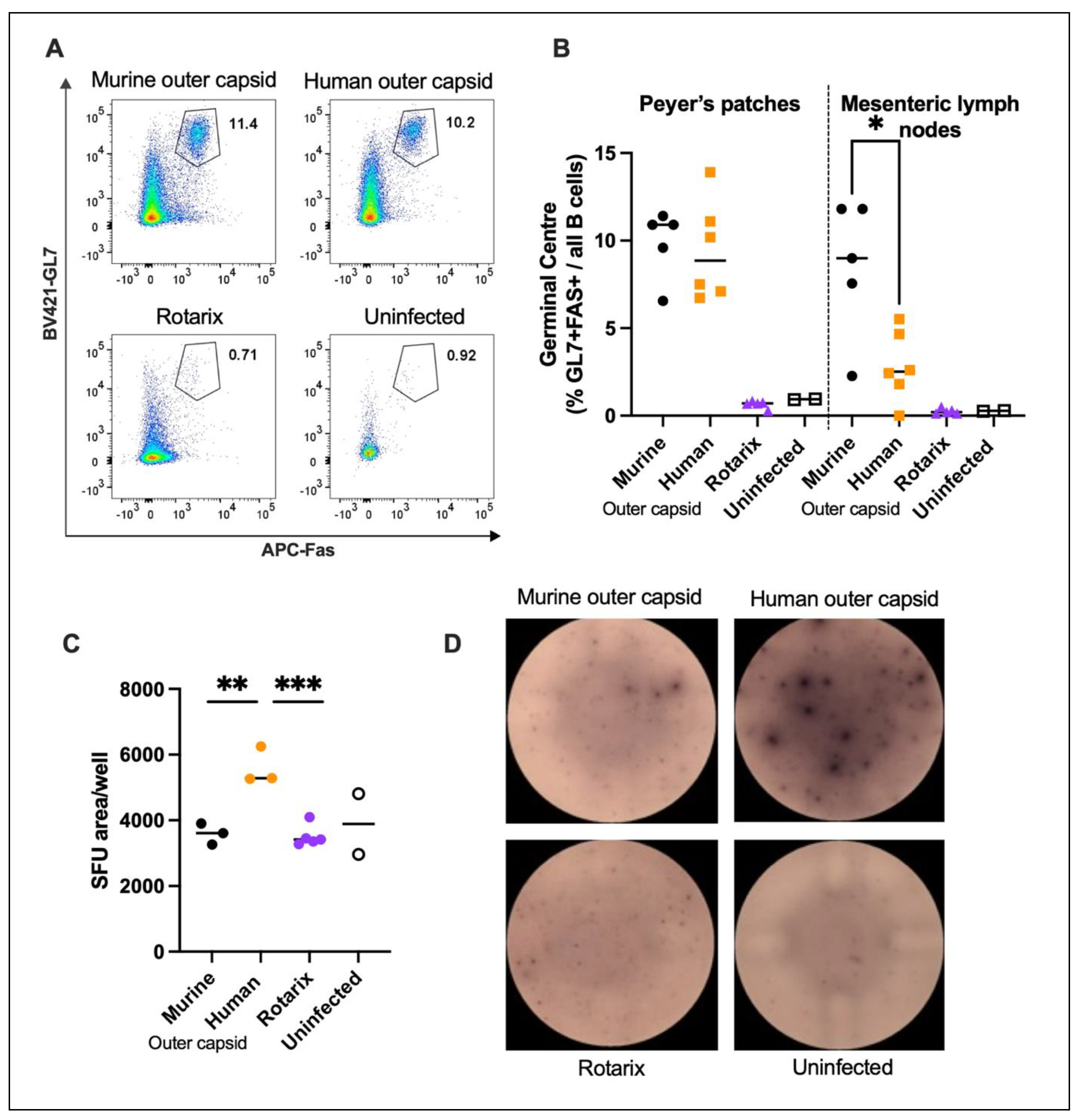 Preprints 106515 g004