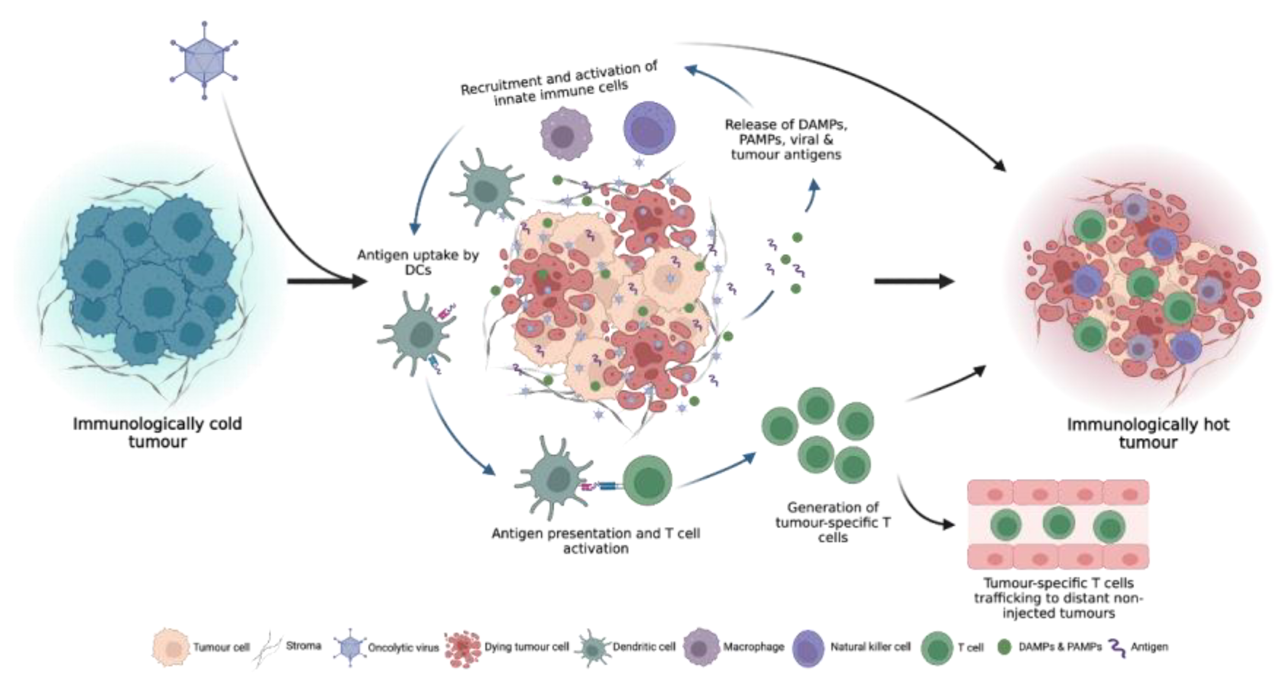 Preprints 80683 g002