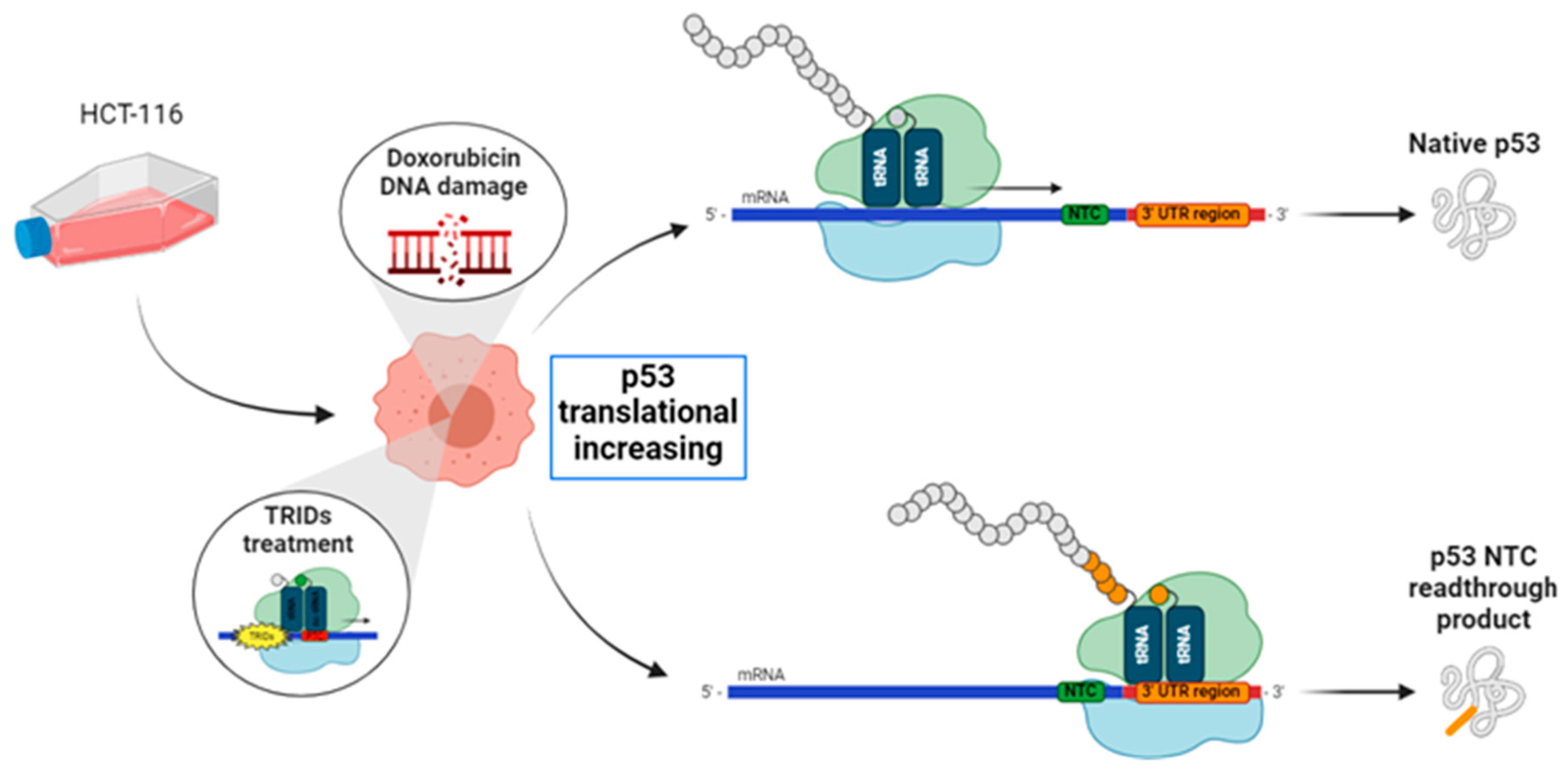 Preprints 82213 g001