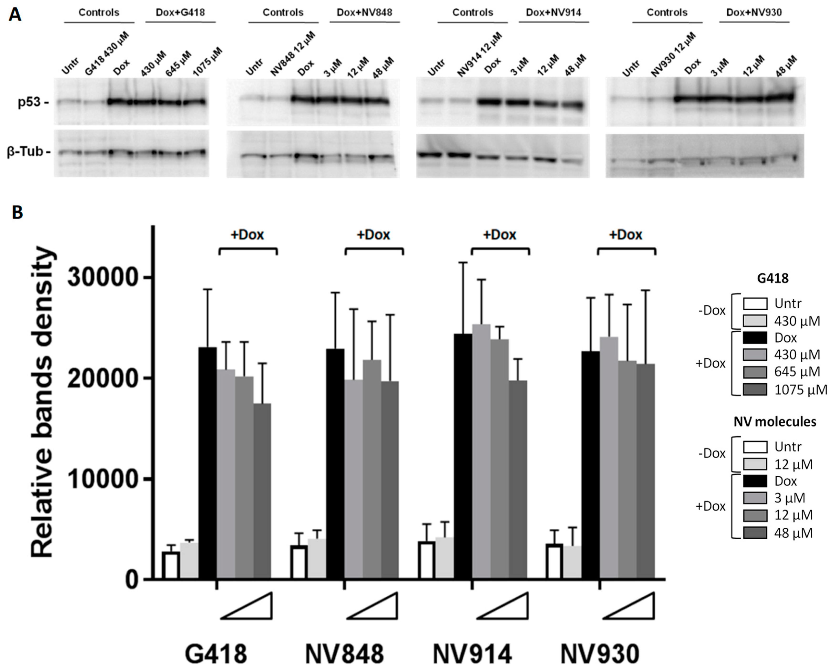 Preprints 82213 g002