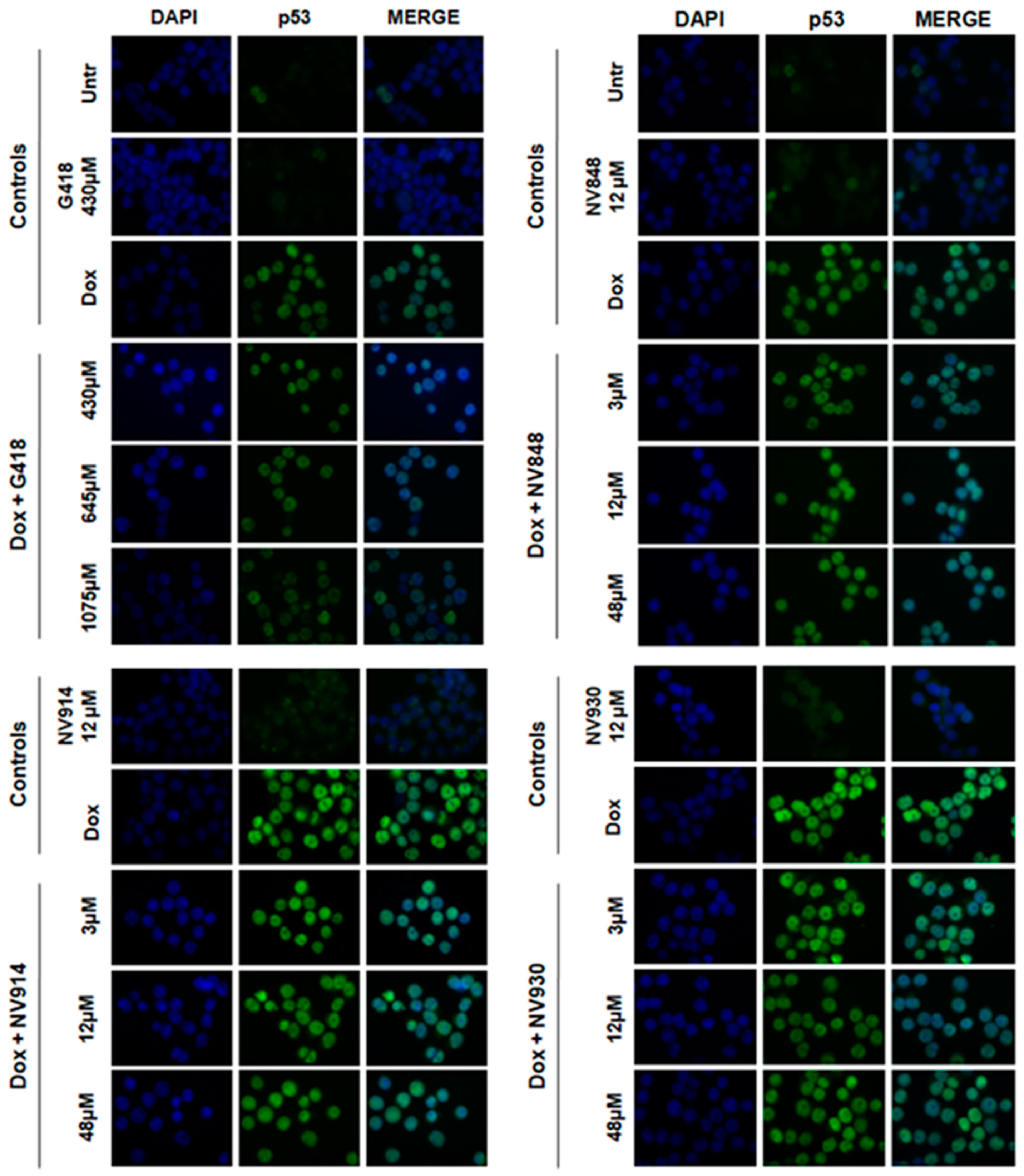 Preprints 82213 g003