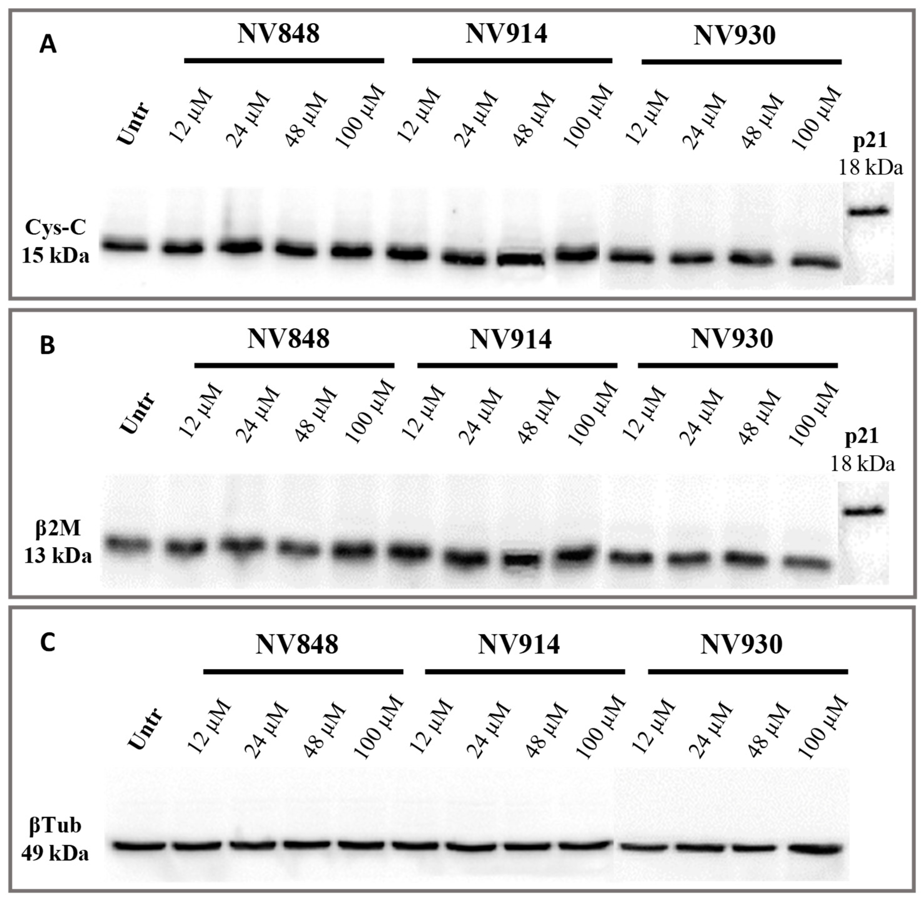 Preprints 82213 g006