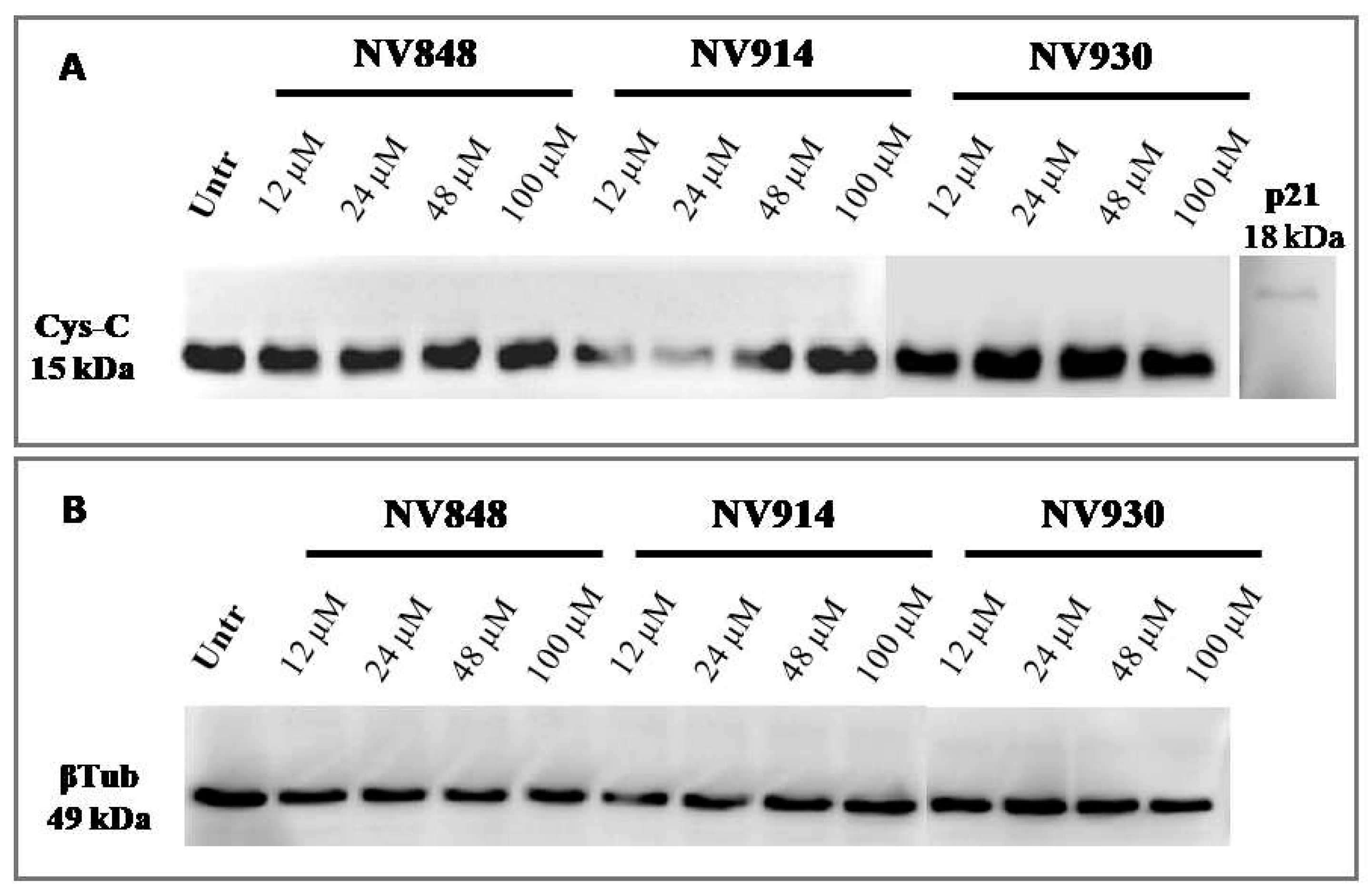 Preprints 82213 g008