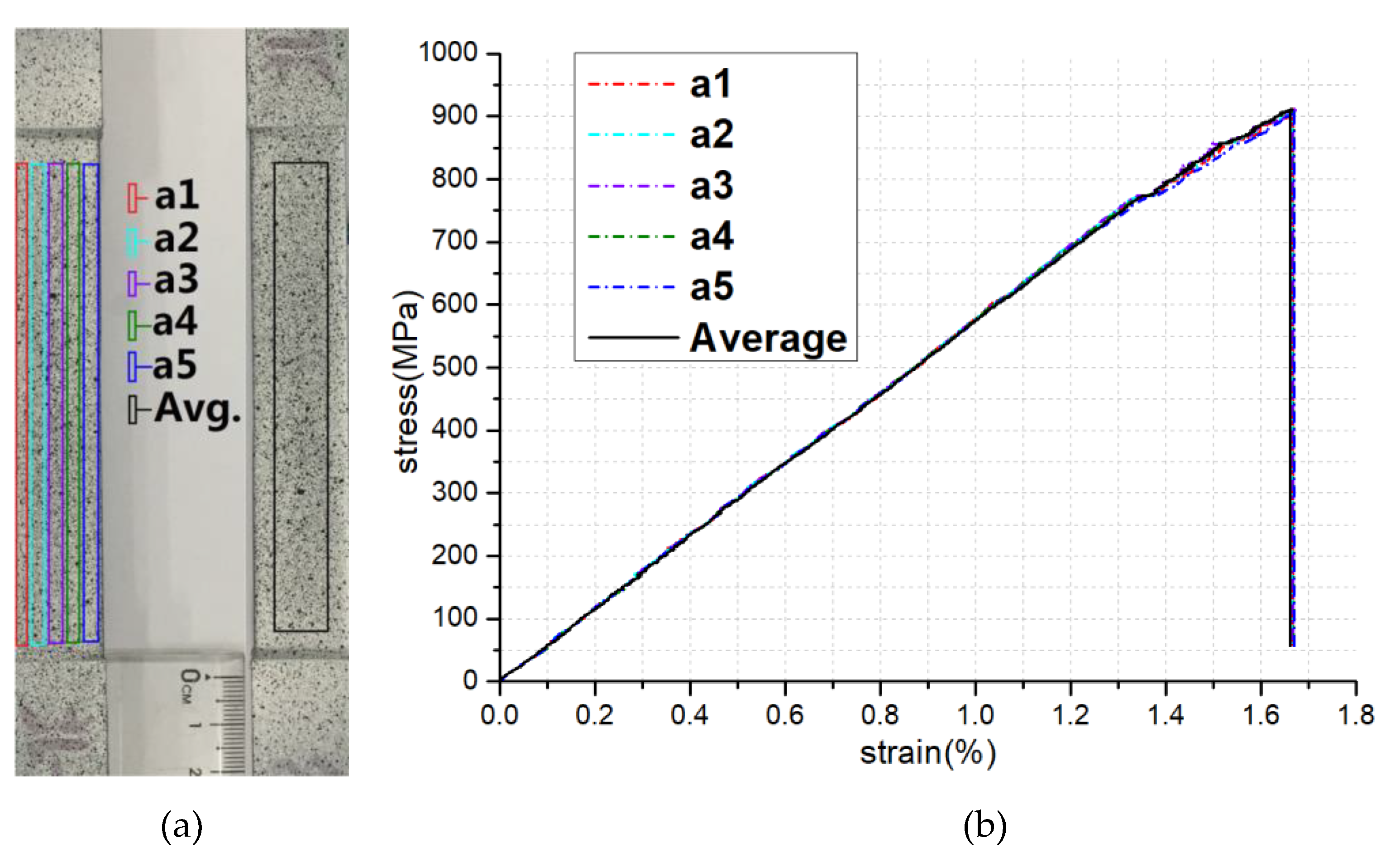 Preprints 72810 g005