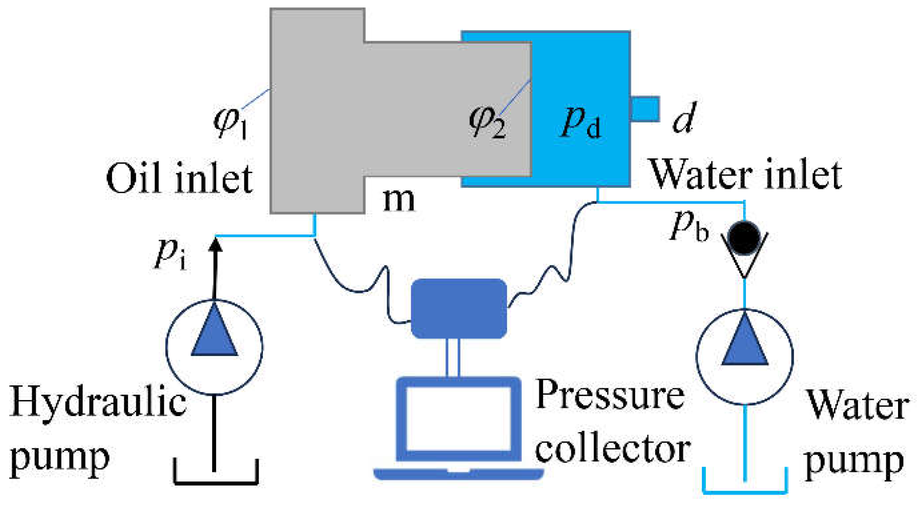 Preprints 111345 g002