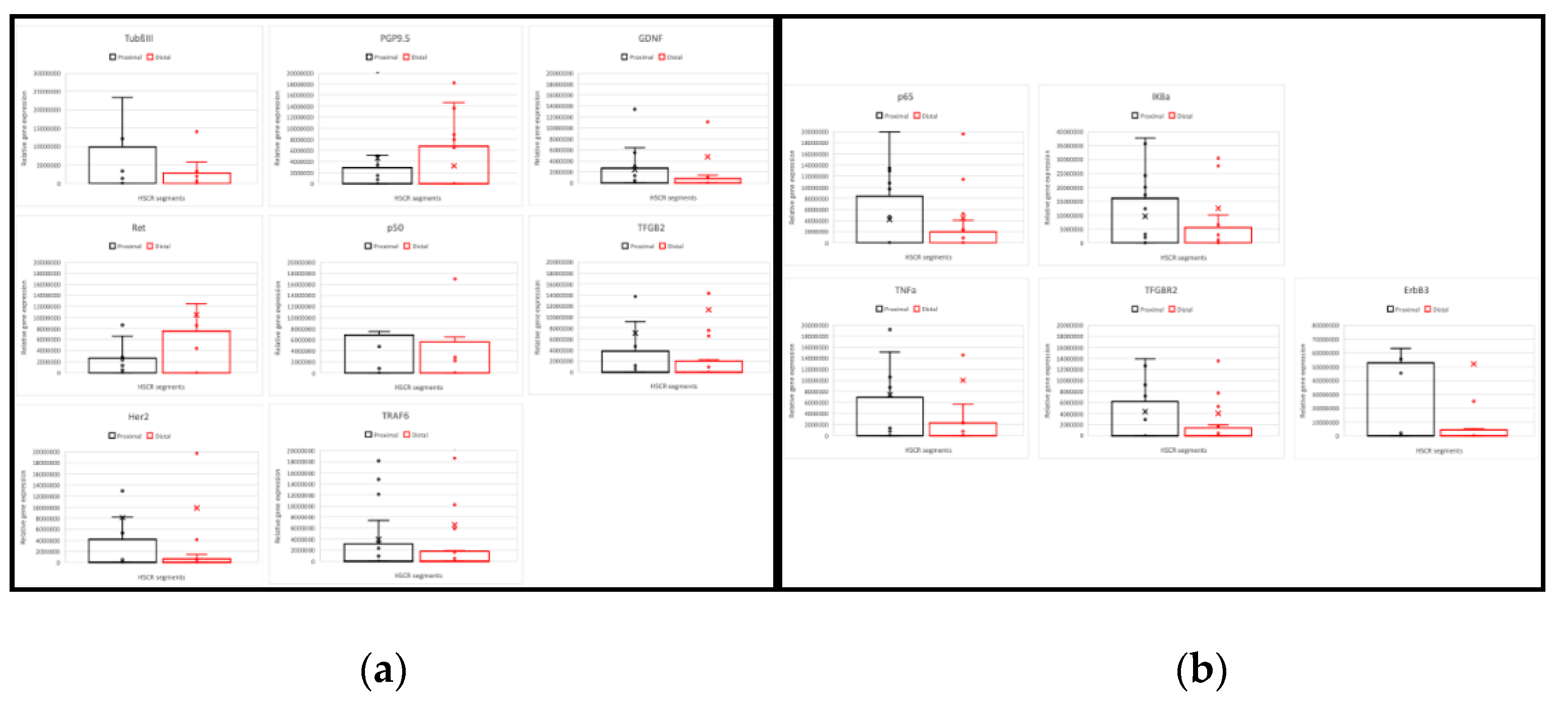 Preprints 109902 g001