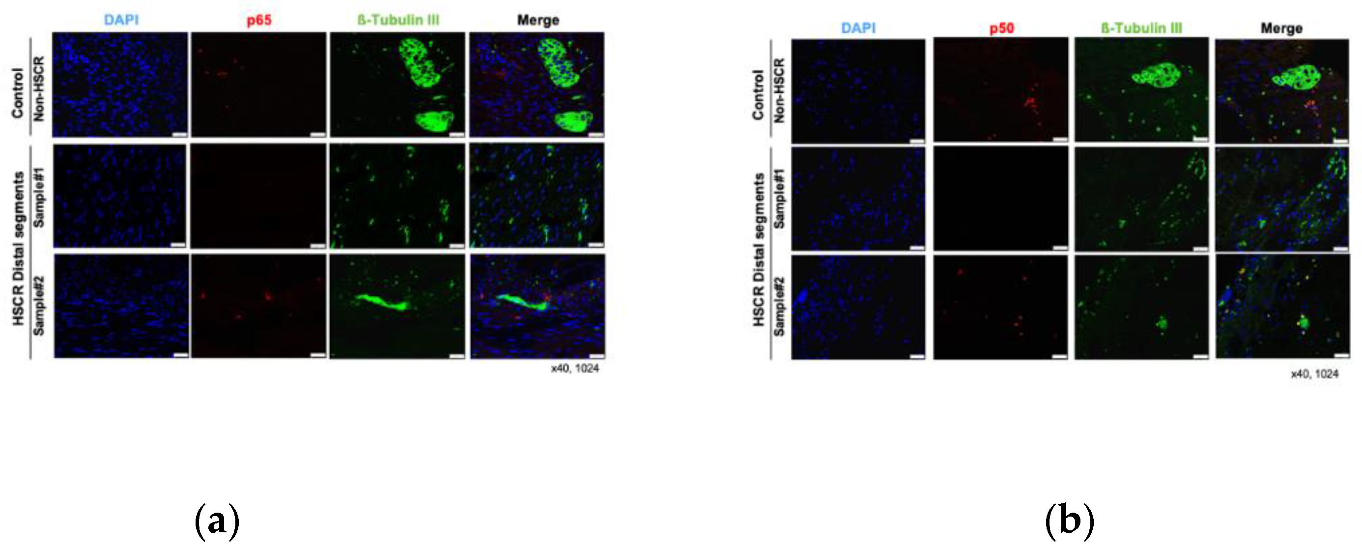 Preprints 109902 g003