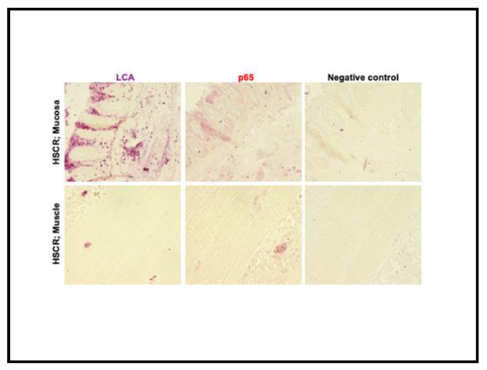 Preprints 109902 g005