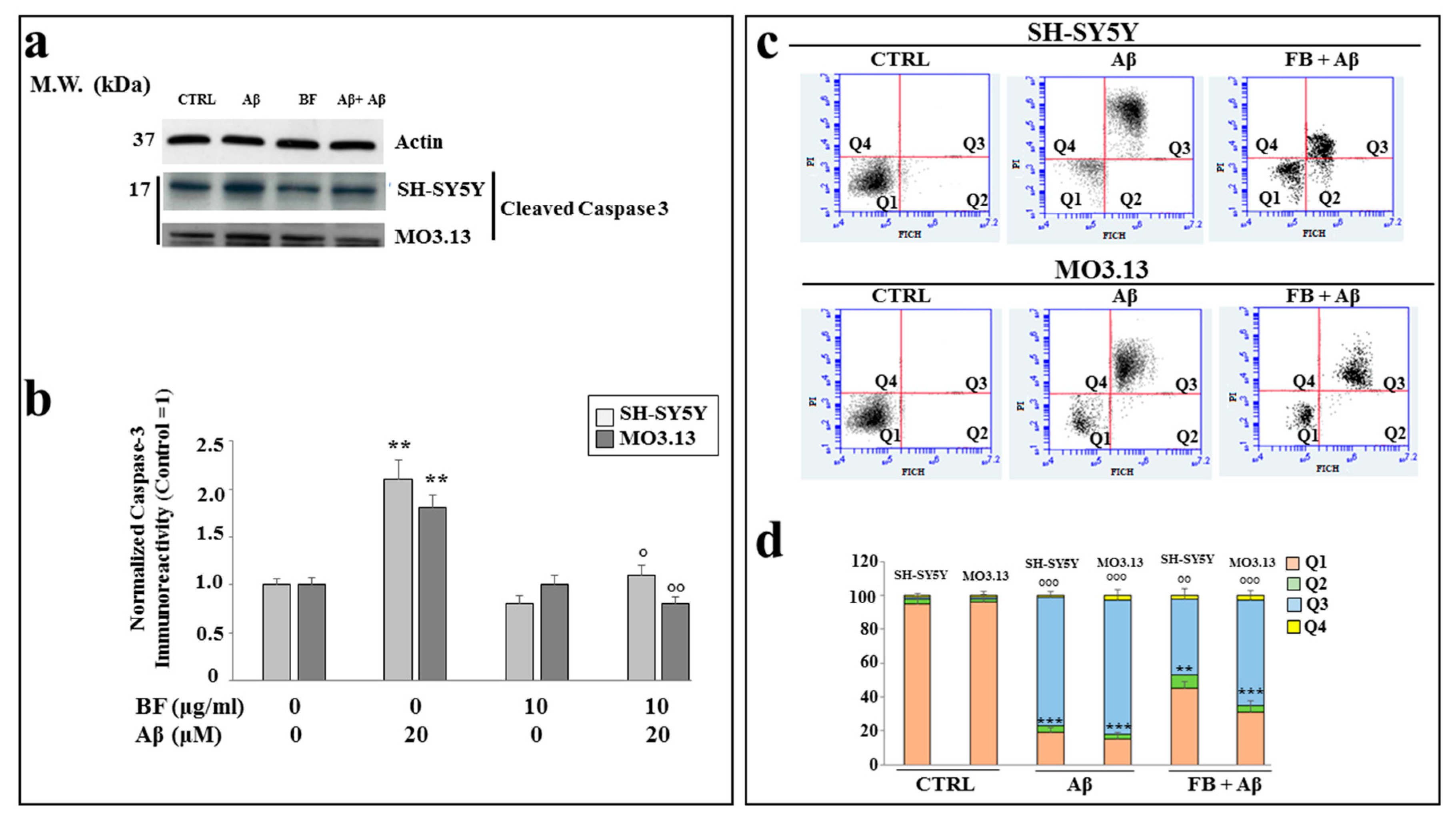 Preprints 73302 g007