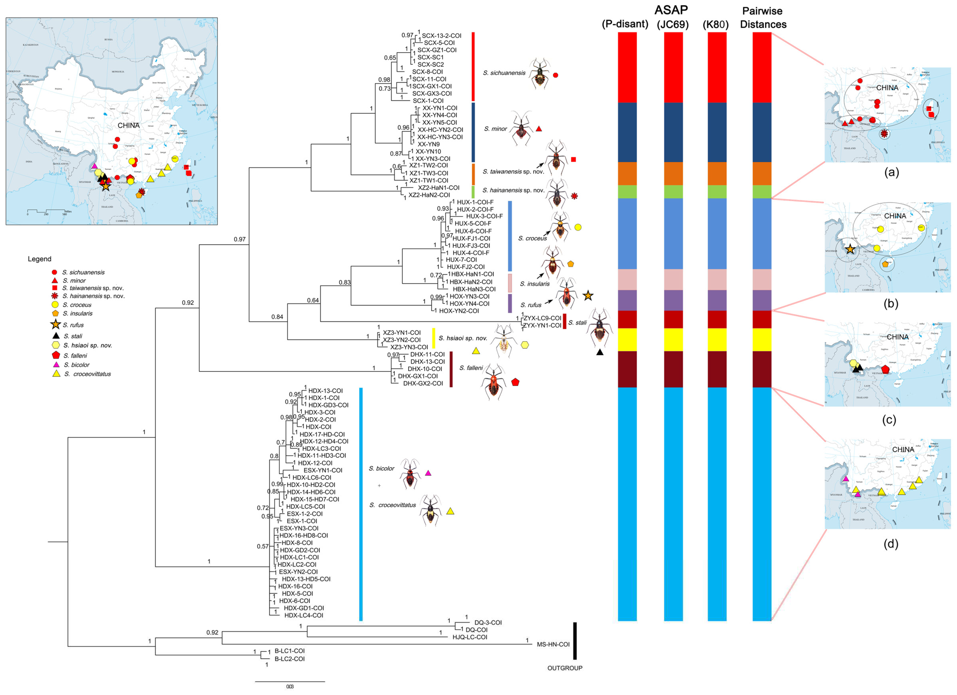 Preprints 83033 g001