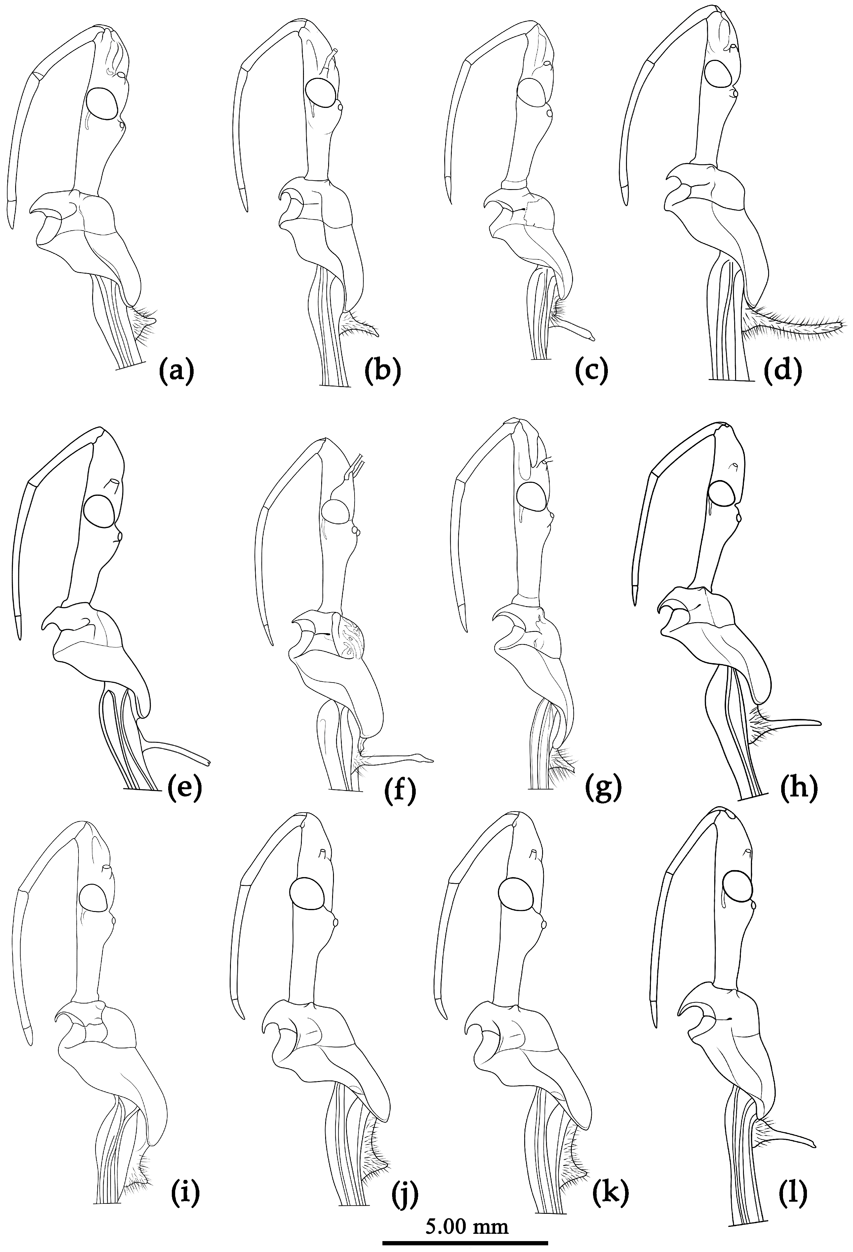 Preprints 83033 g003