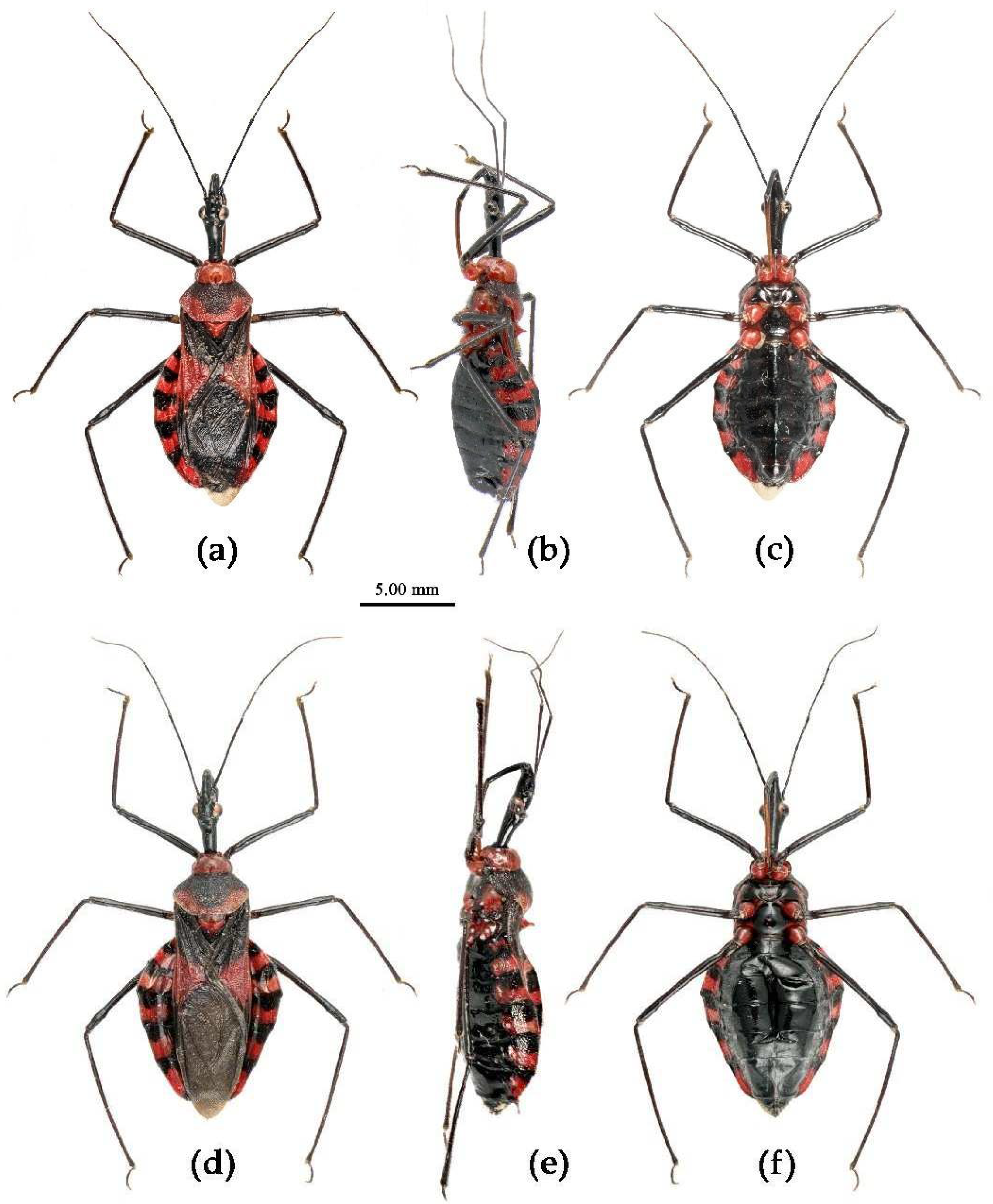 Preprints 83033 g007