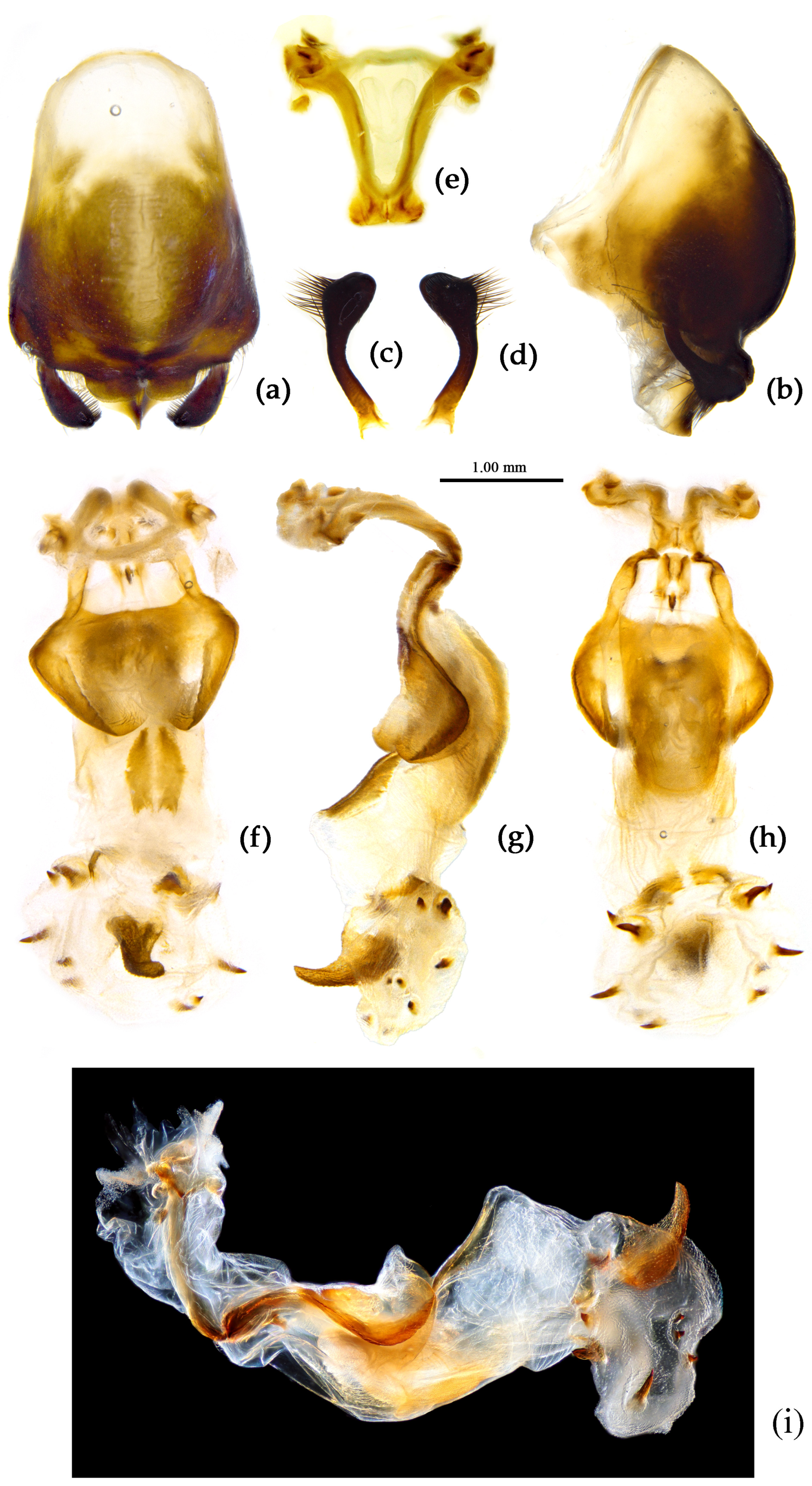 Preprints 83033 g010