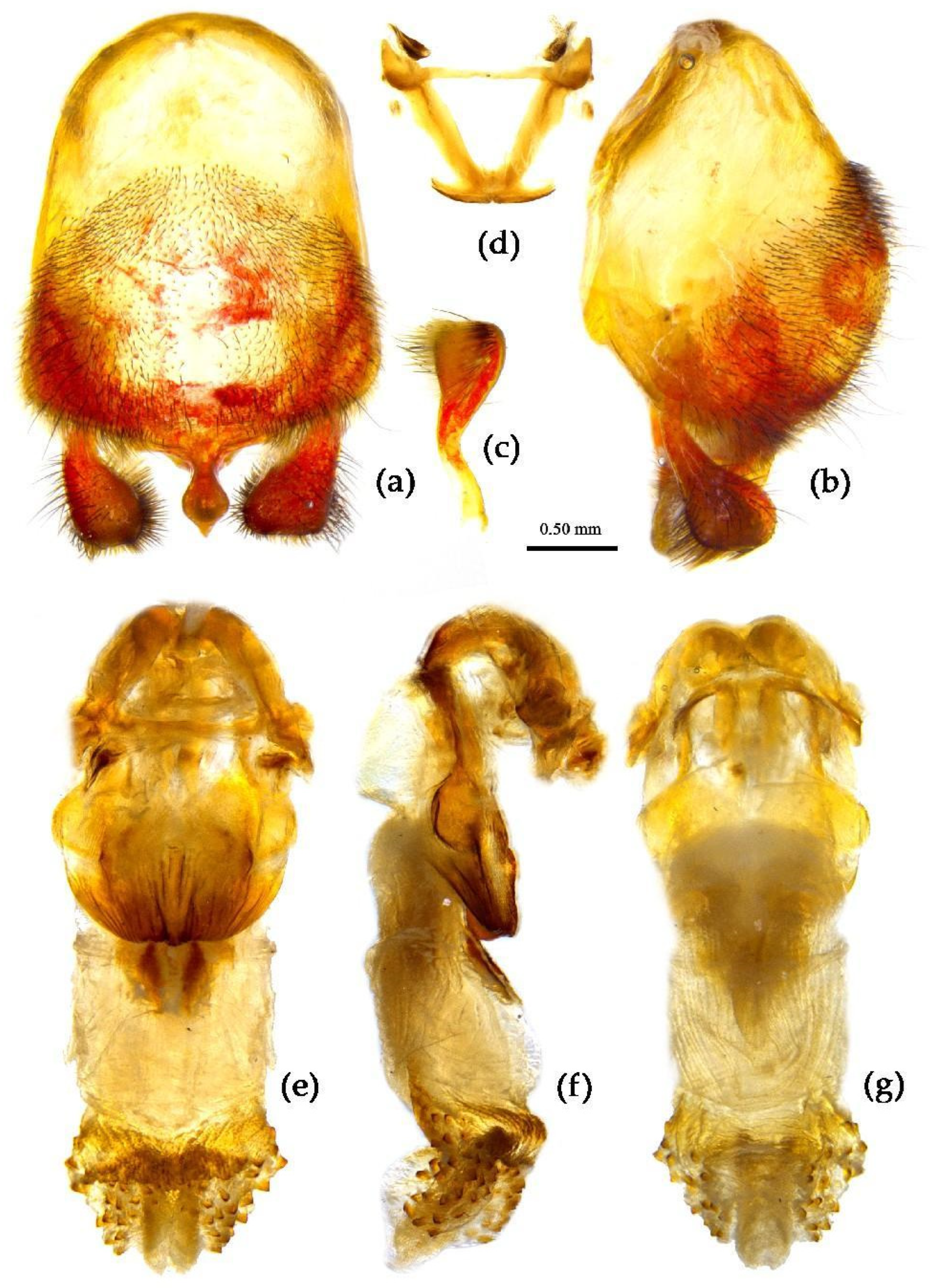 Preprints 83033 g014