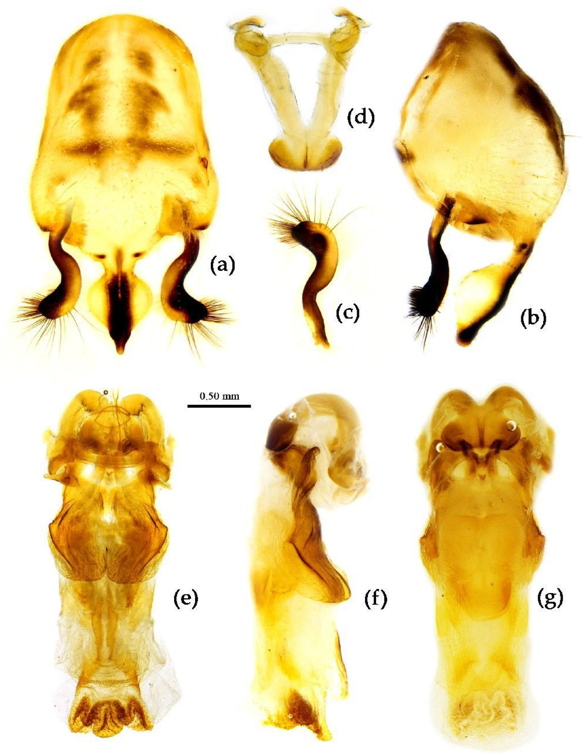 Preprints 83033 g016