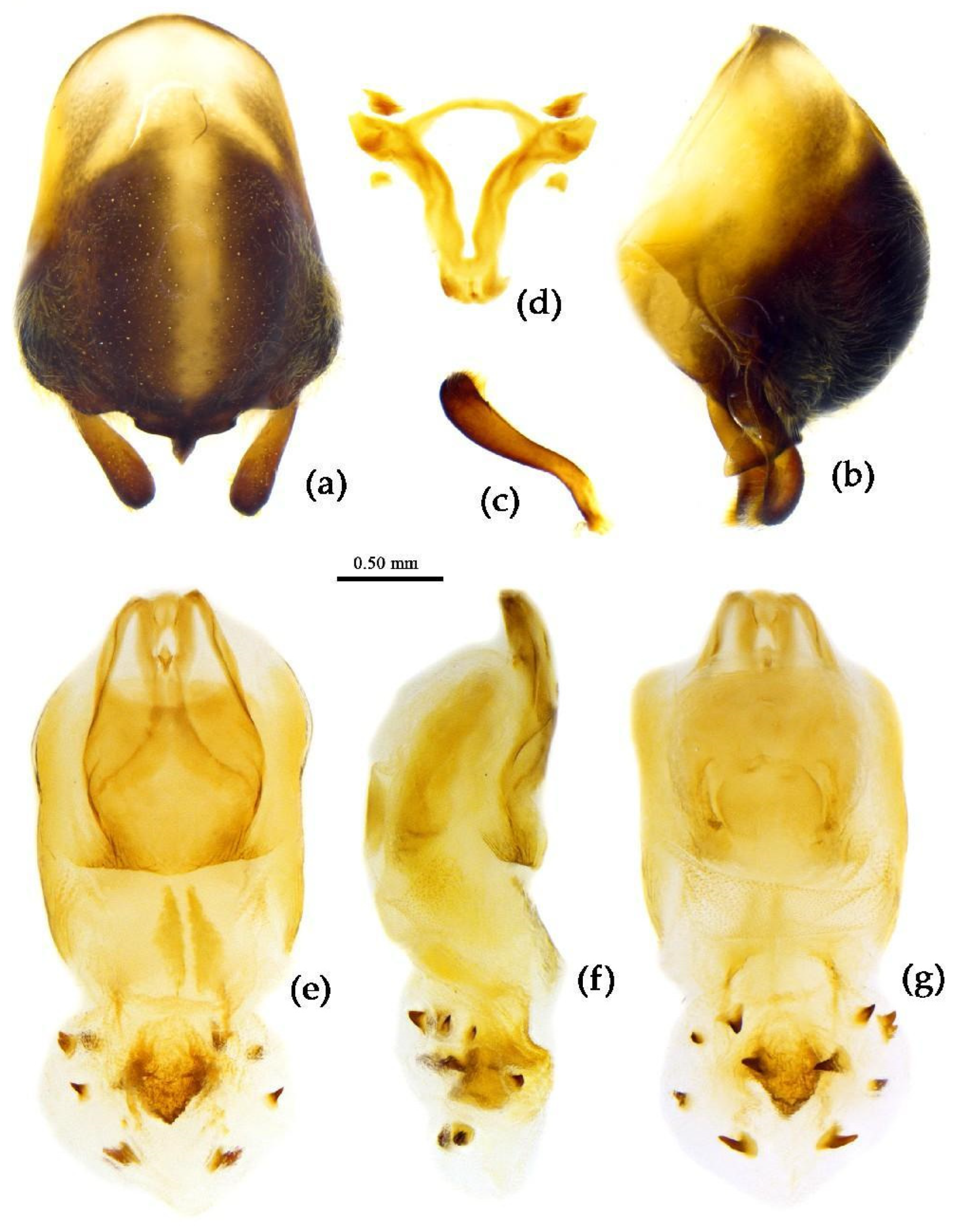 Preprints 83033 g018