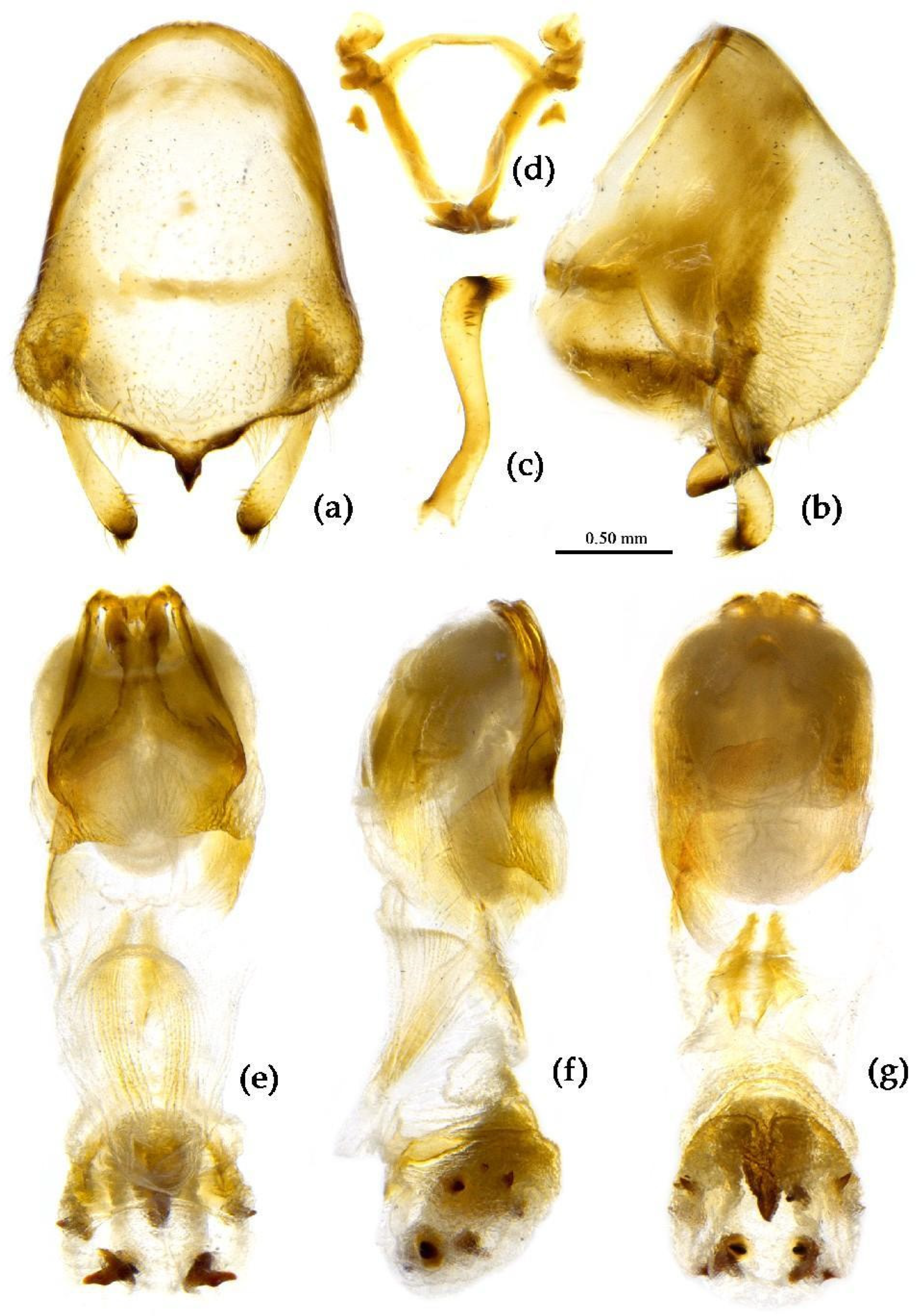 Preprints 83033 g022