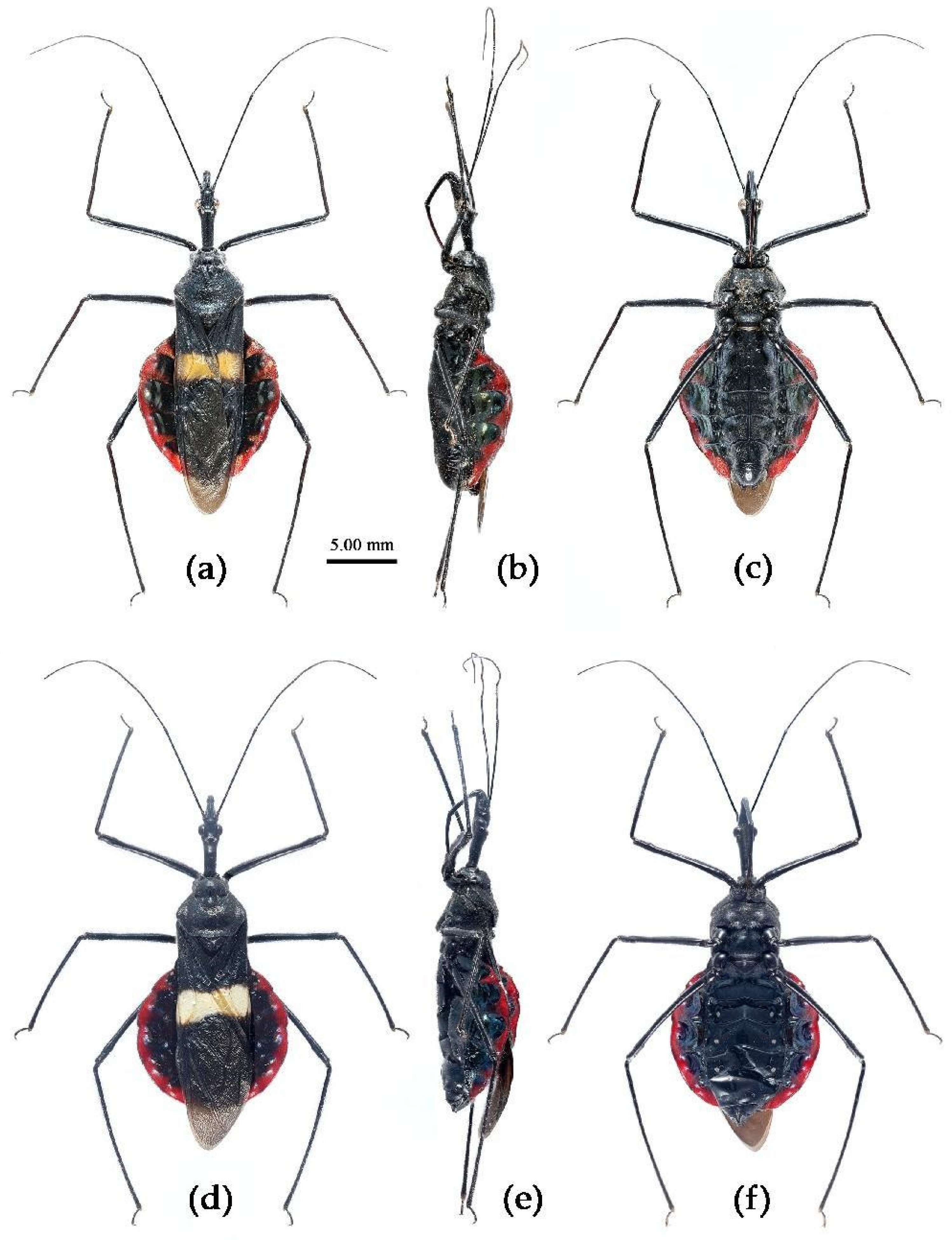 Preprints 83033 g027