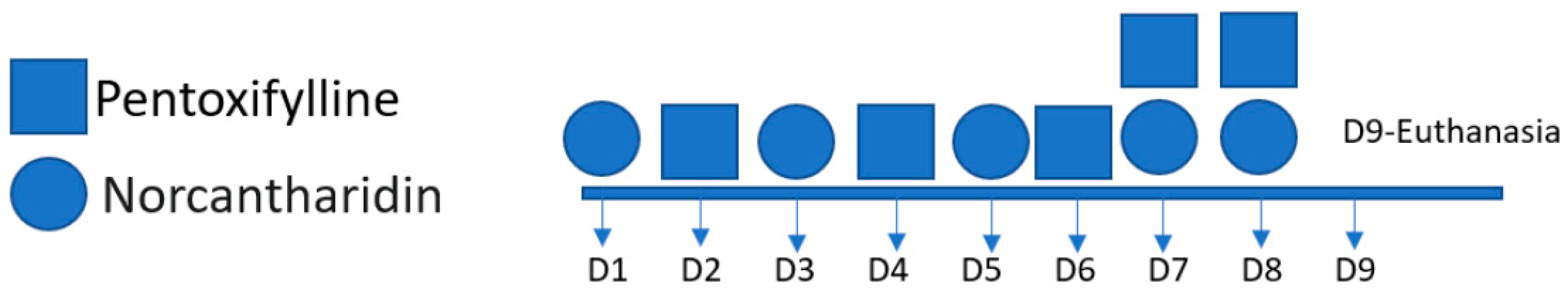 Preprints 84497 g001