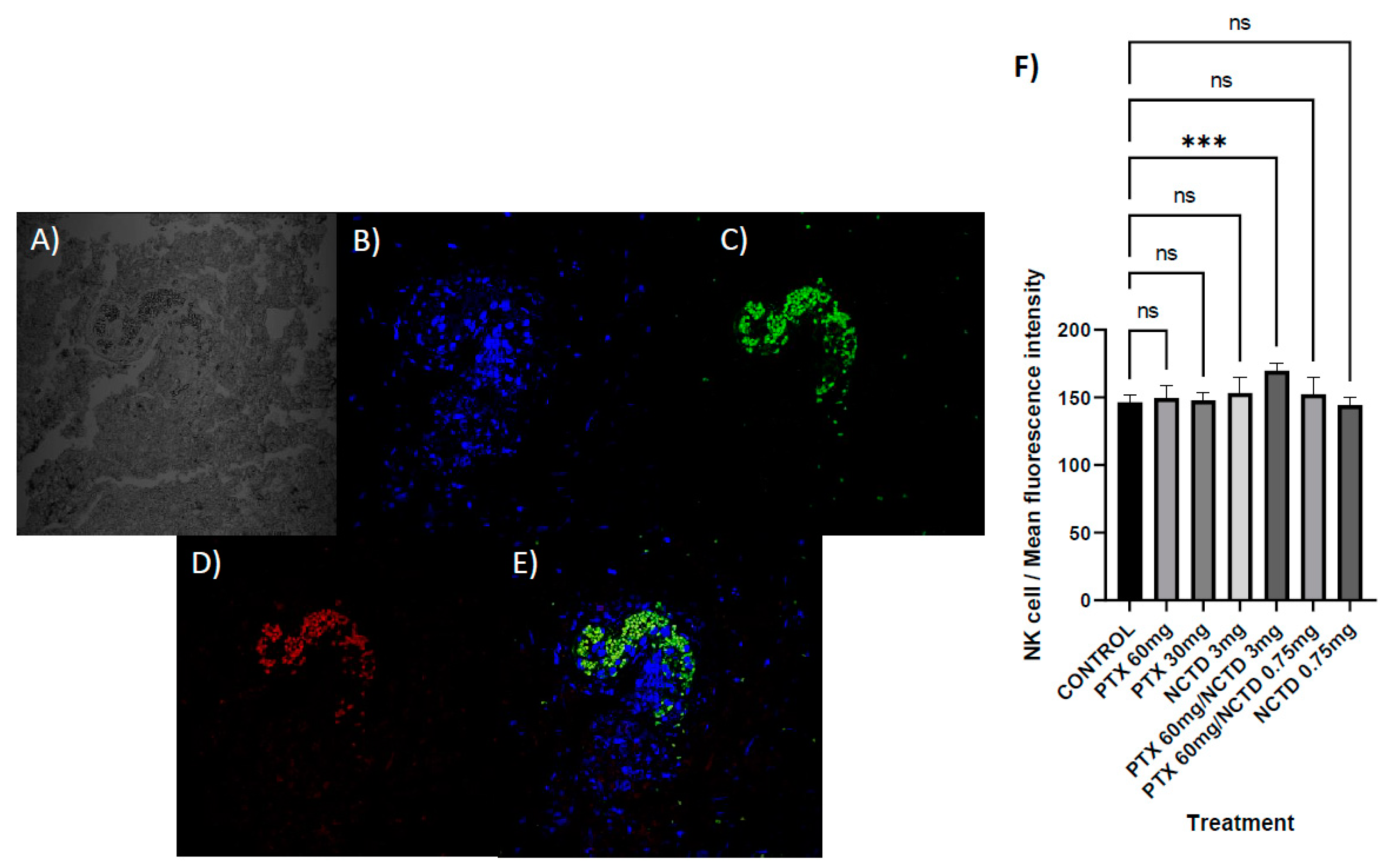 Preprints 84497 g006