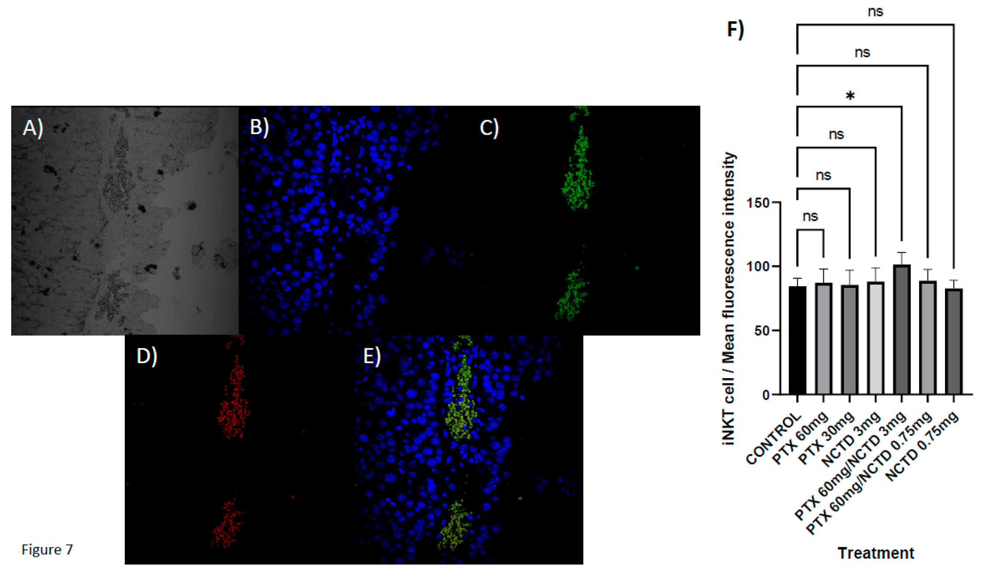 Preprints 84497 g007