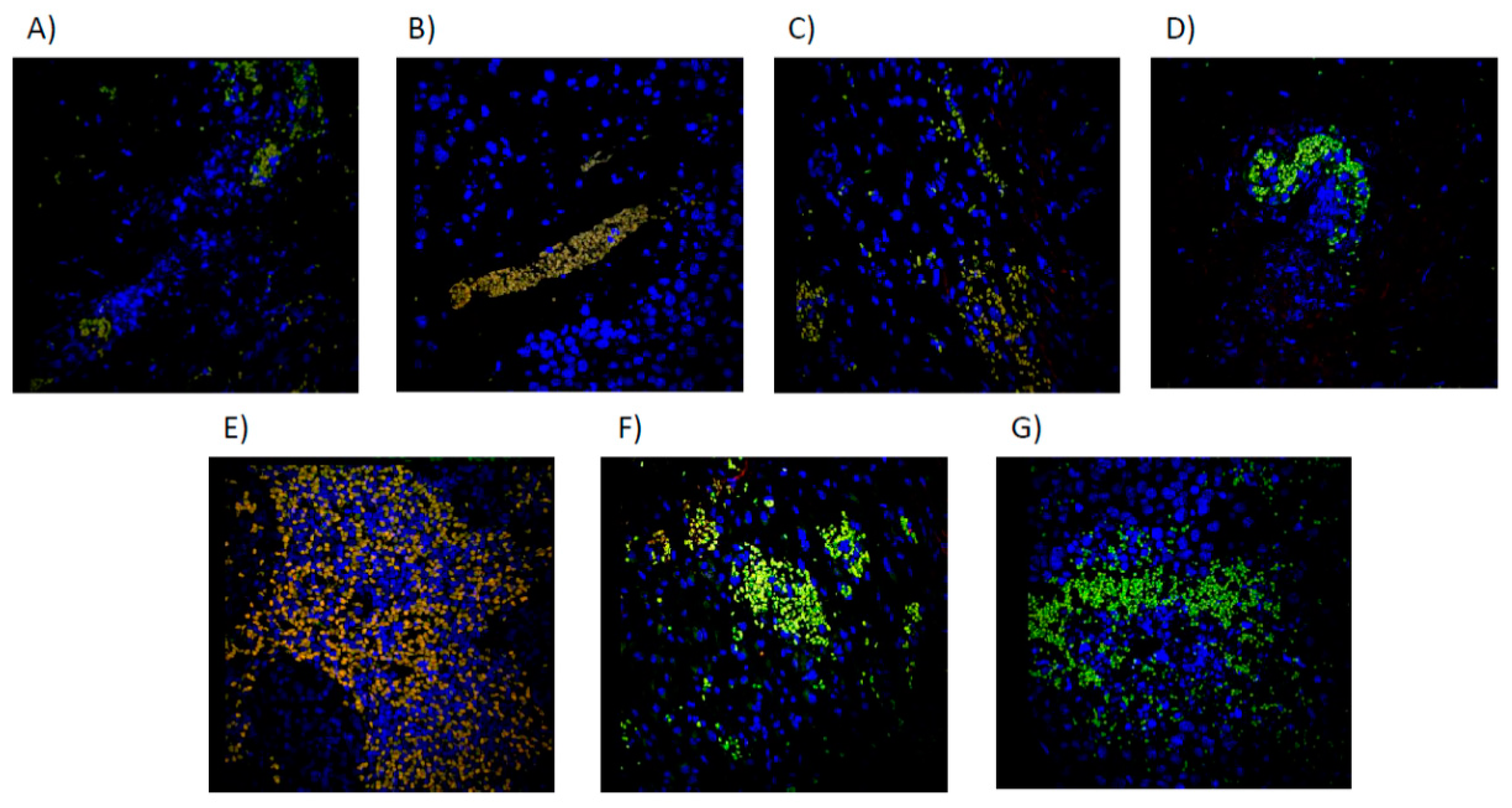 Preprints 84497 g008