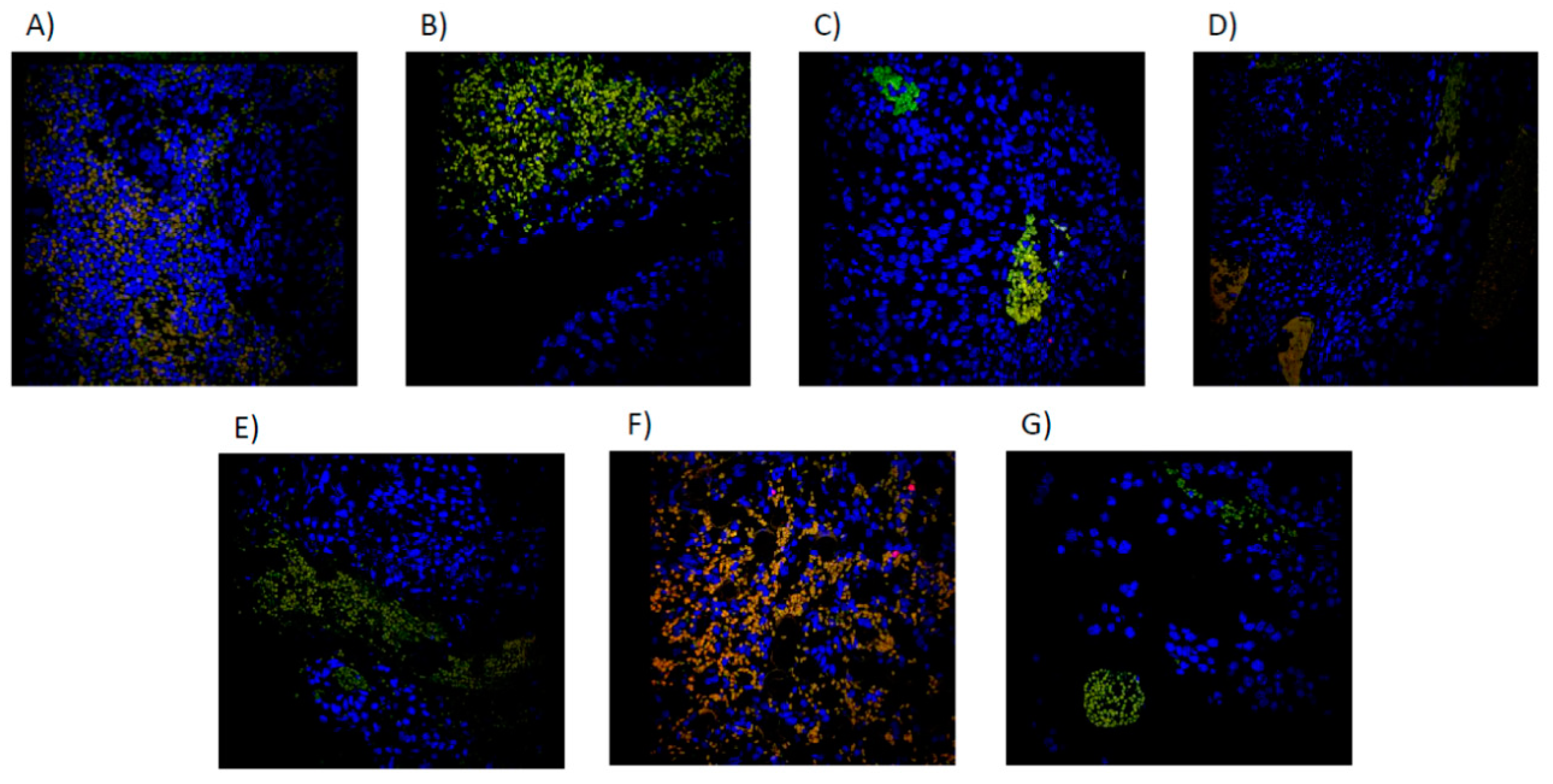 Preprints 84497 g009